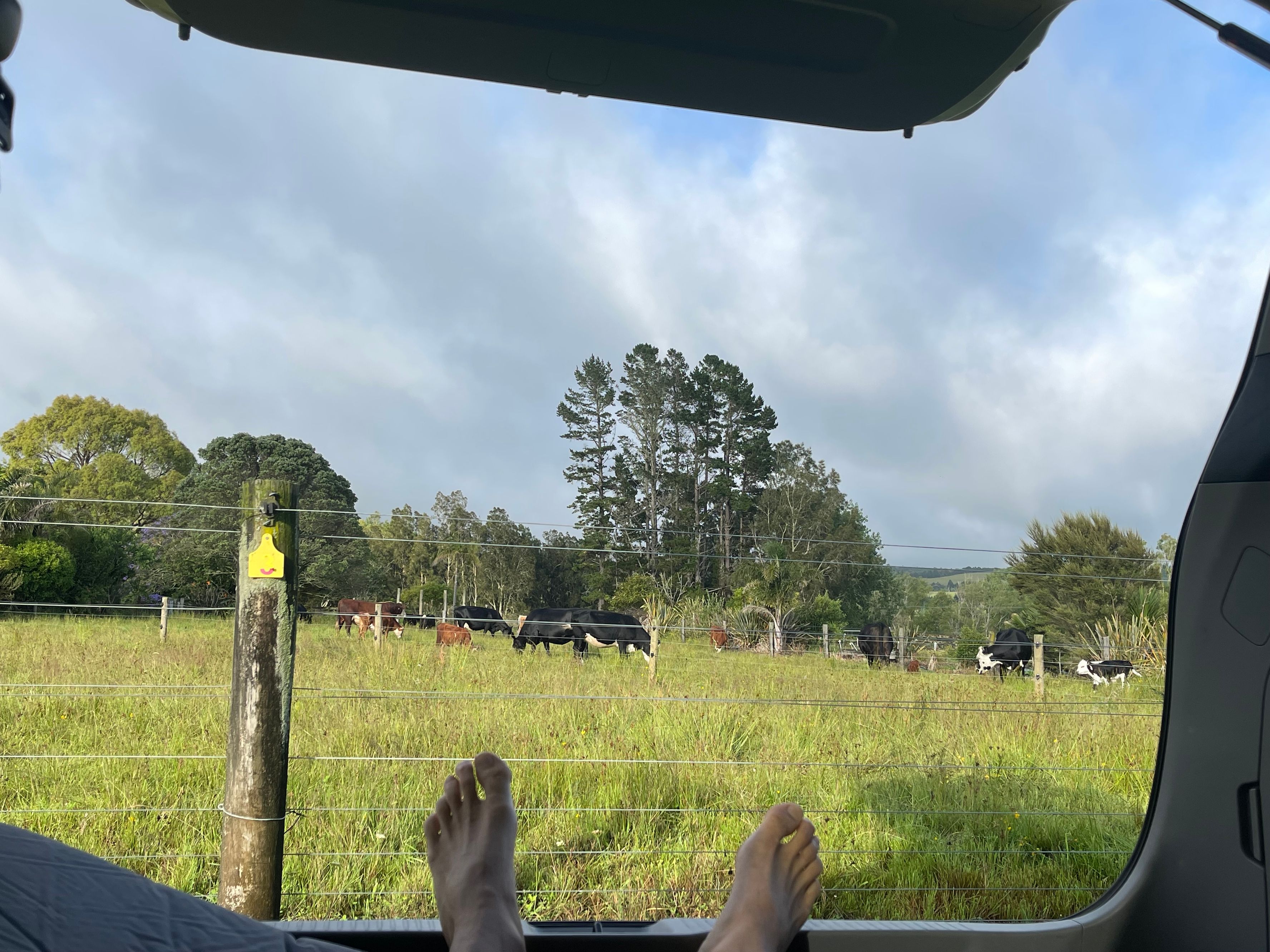 The Cowshed Camping Site - Image 2
