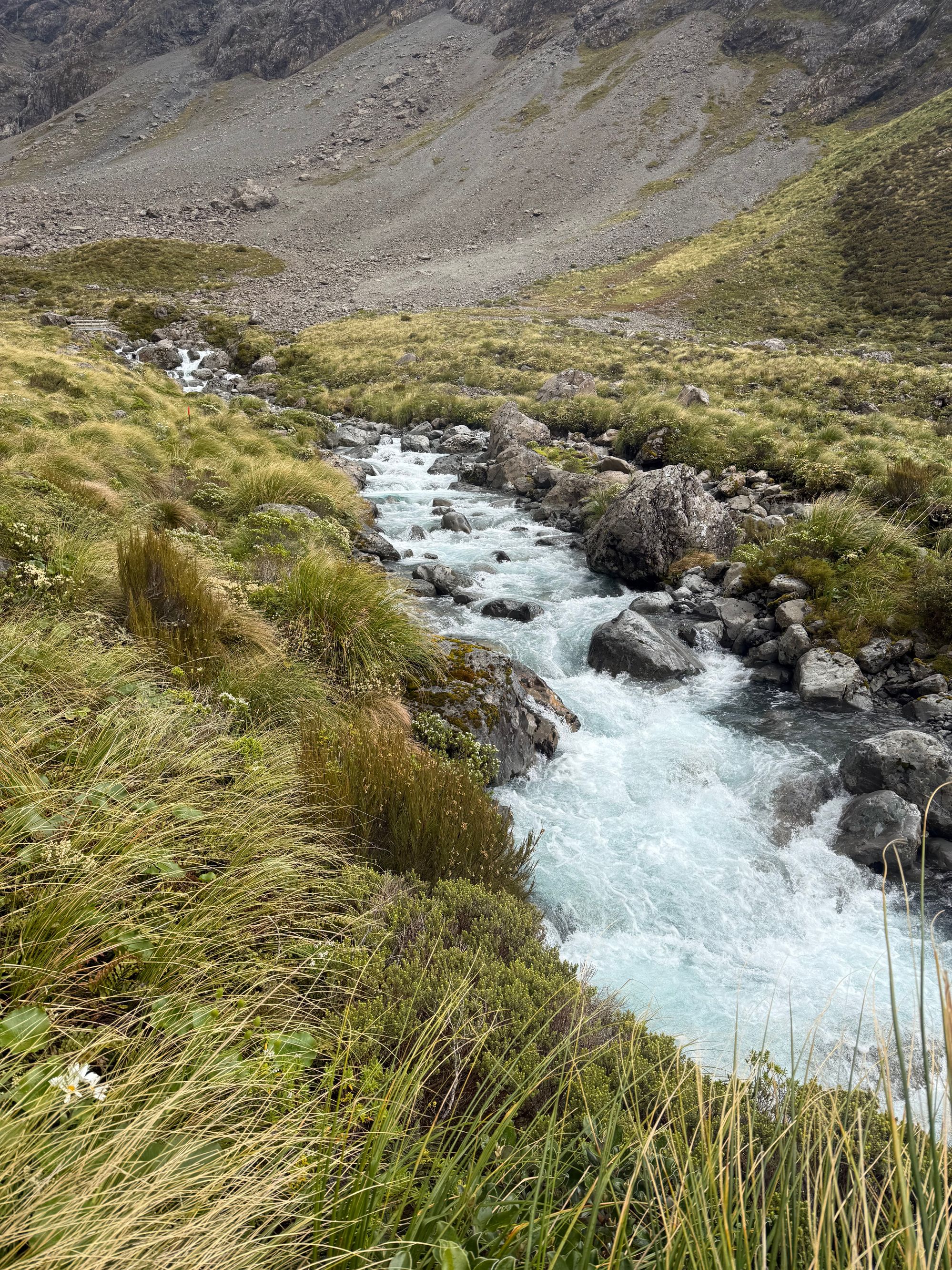 Otira Valley Track - Image 3