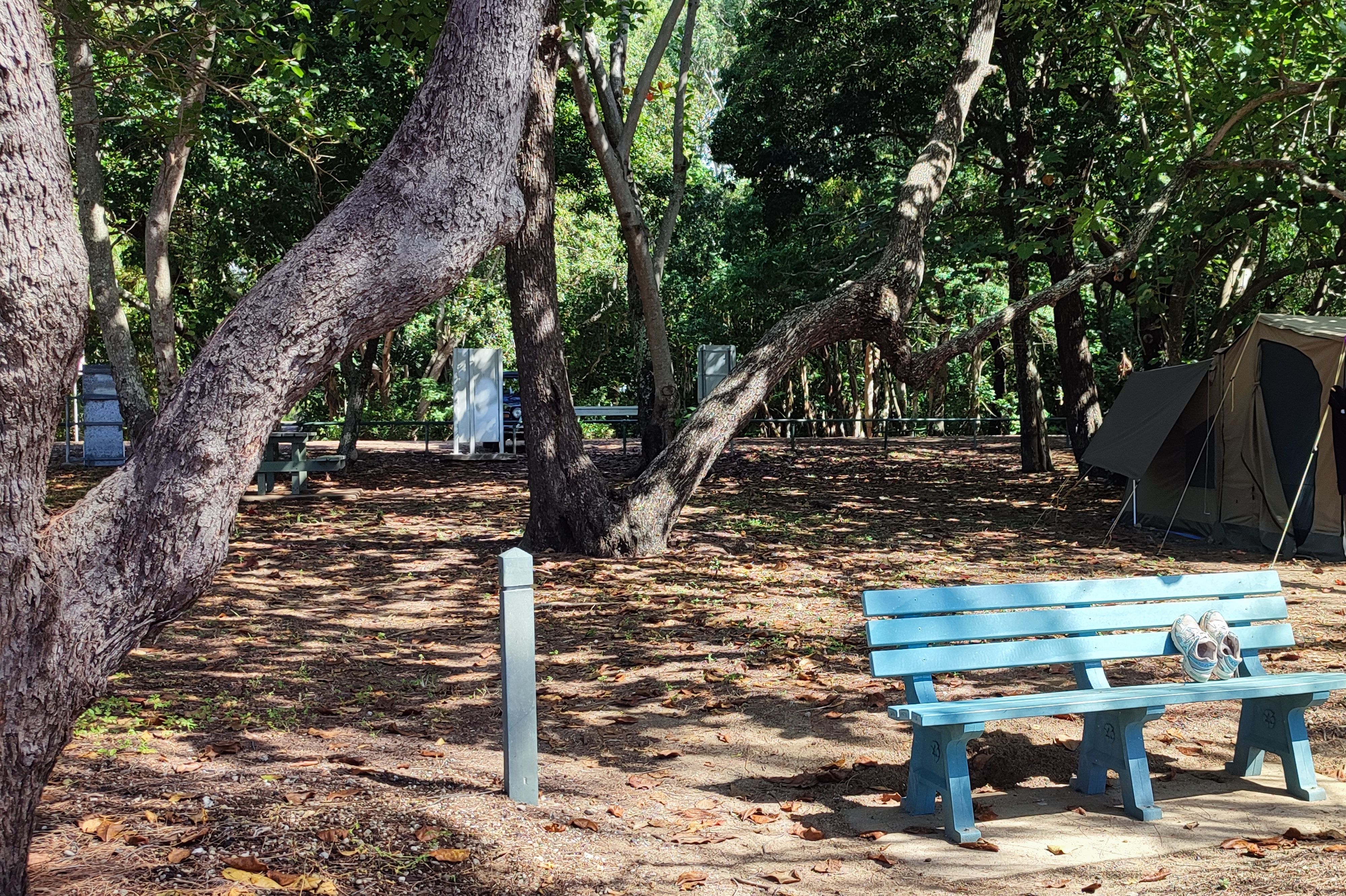 Balgal Beach Rest Area - tent camping only - Image 3