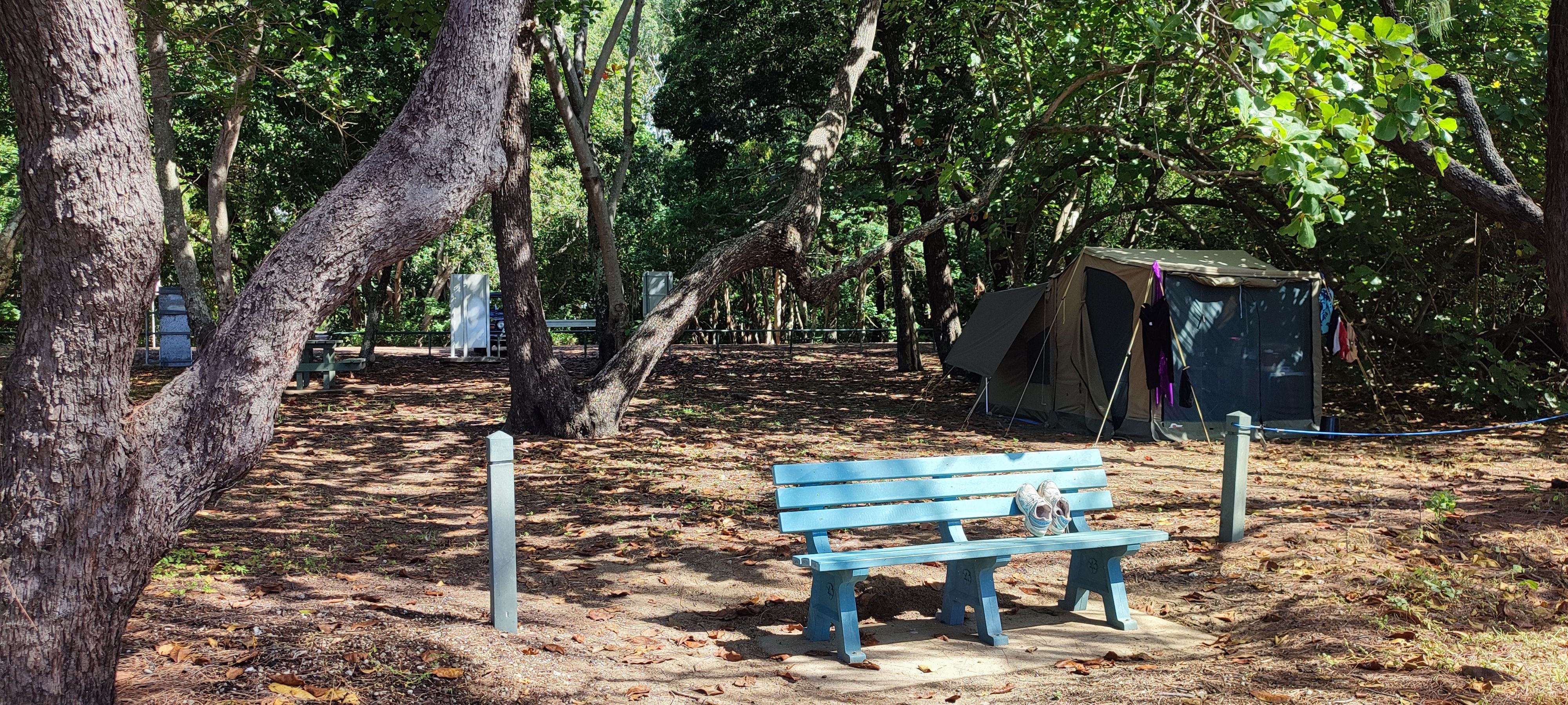 Balgal Beach Rest Area - tent camping only - Image 3
