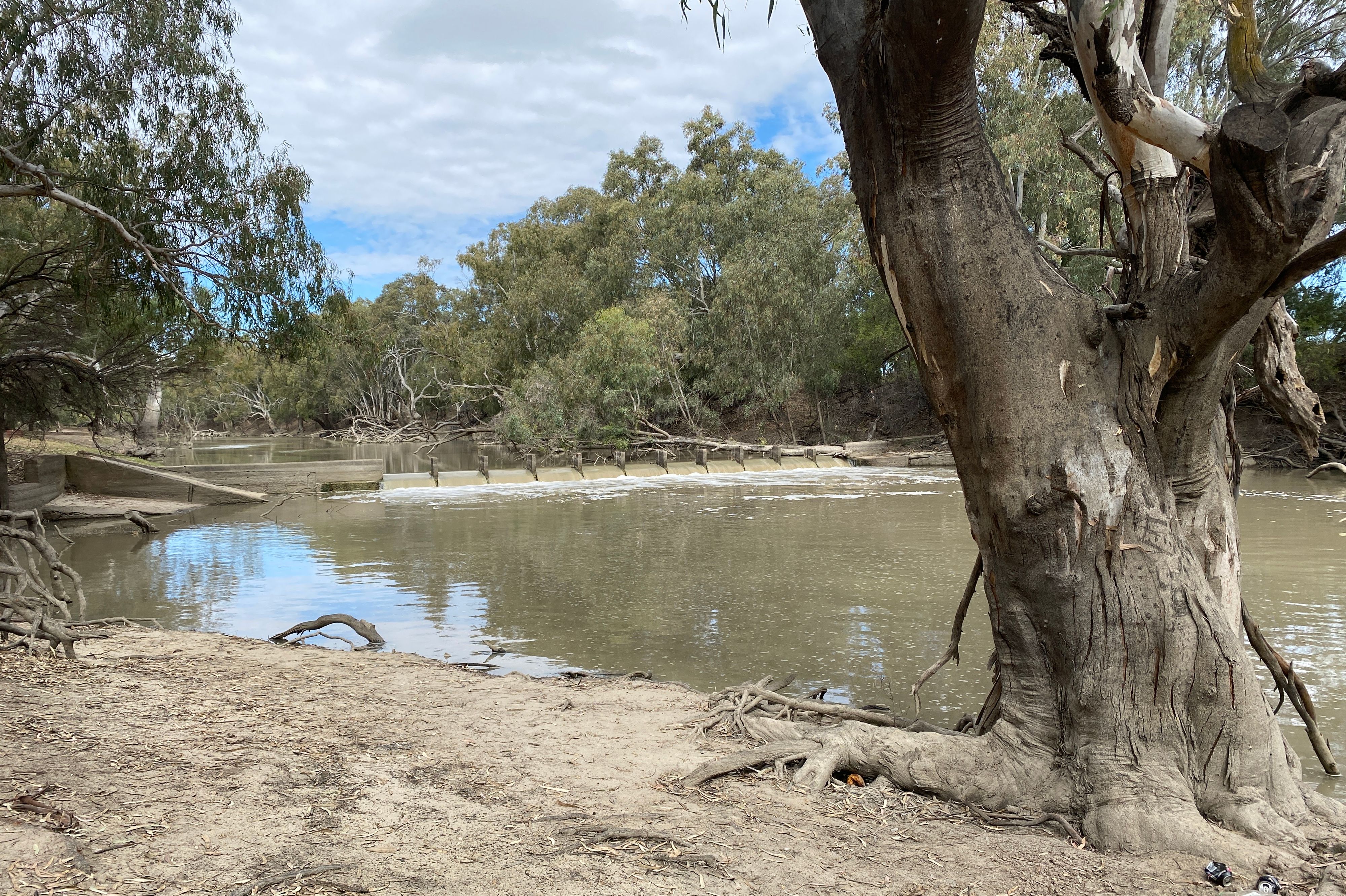 Wanganella Weir - Image 3