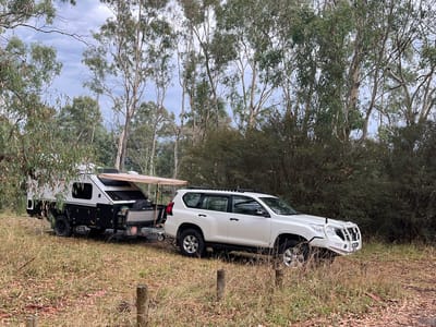 Brooks River Reserve