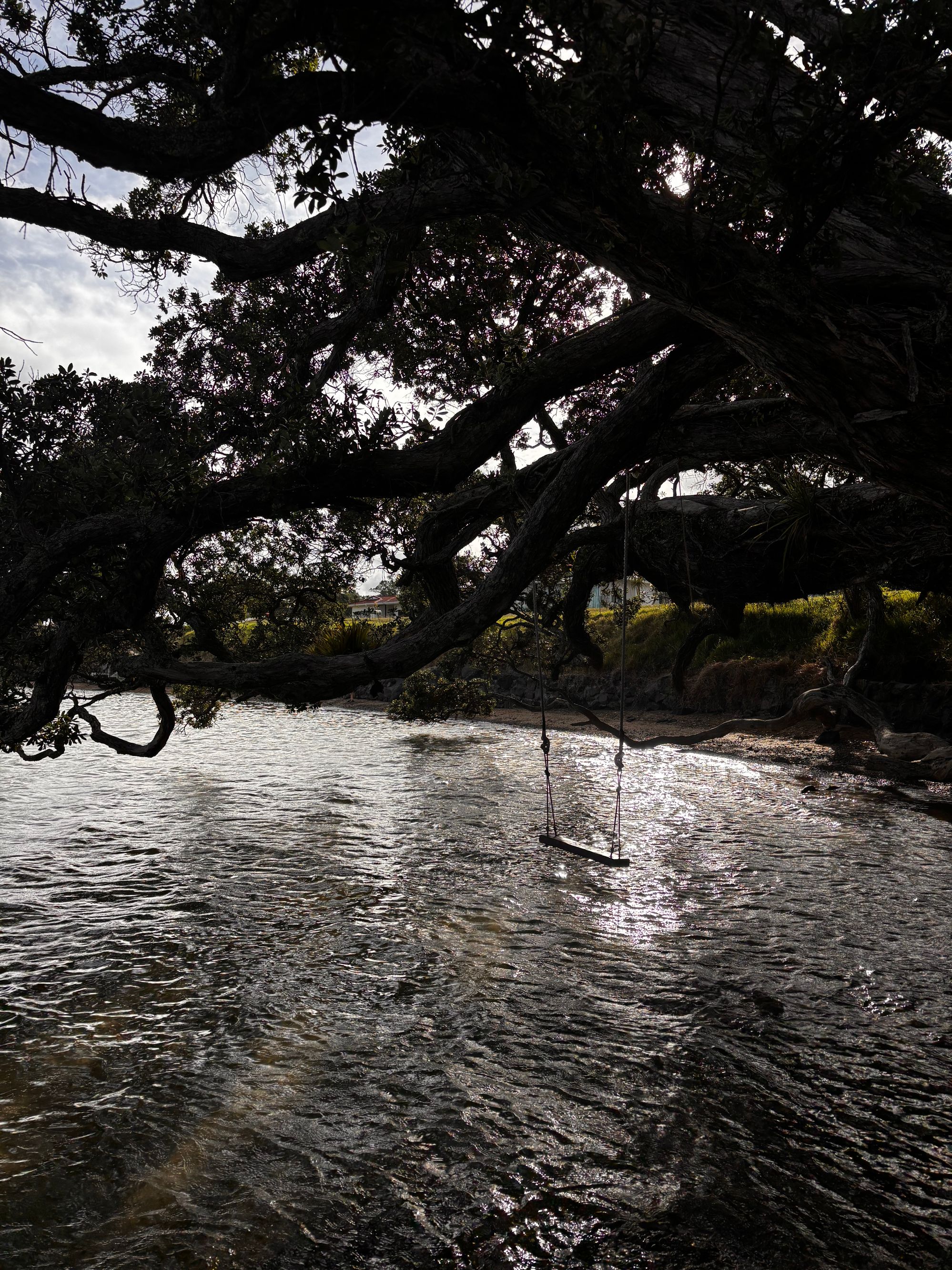 Ngunguru Library - Image 2