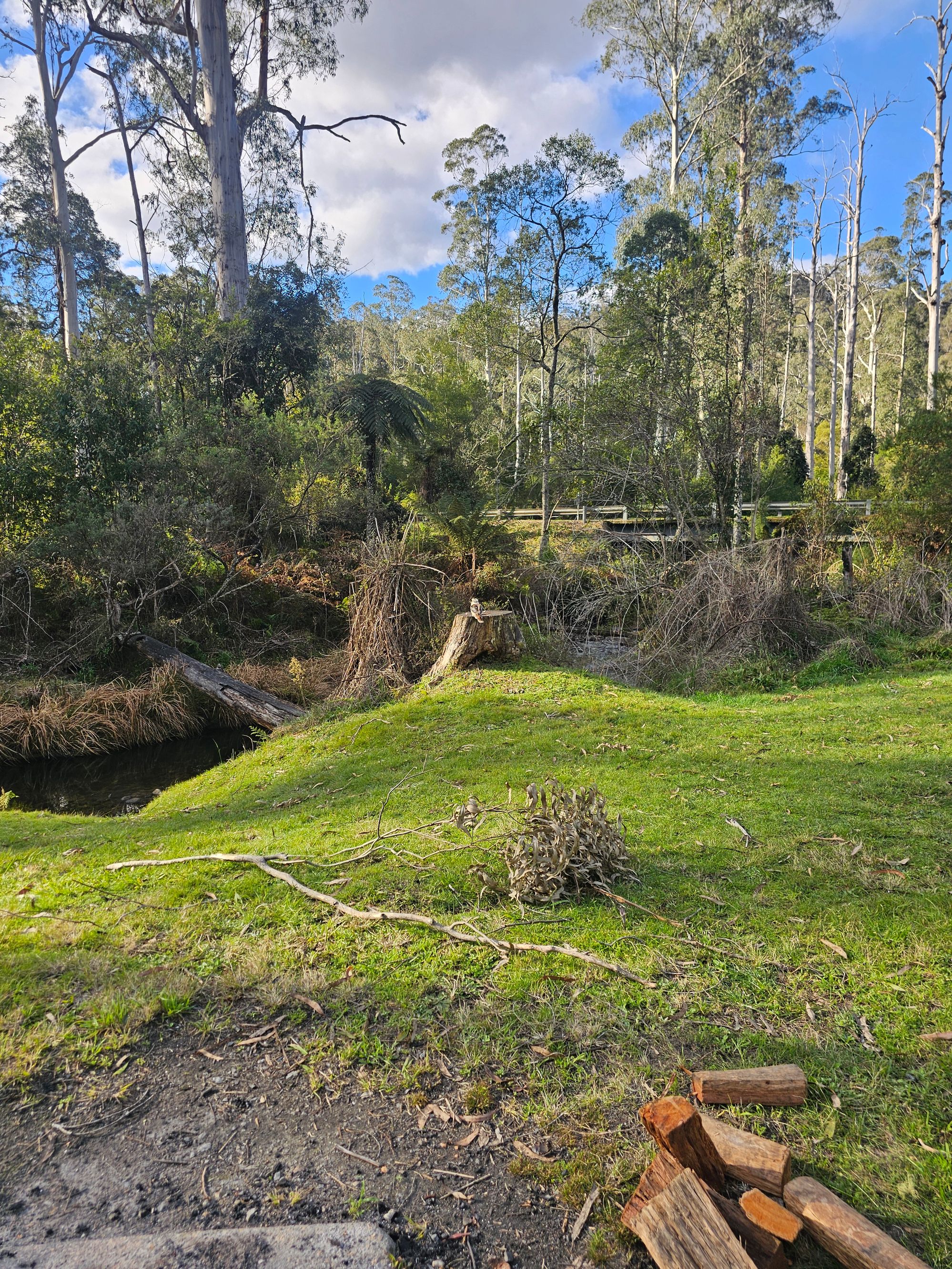 Ada River Campground - Image 3