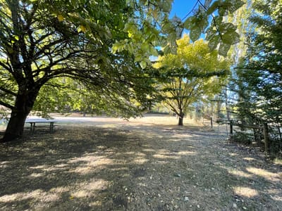 Glenlyon Mineral Springs Reserve Camping
