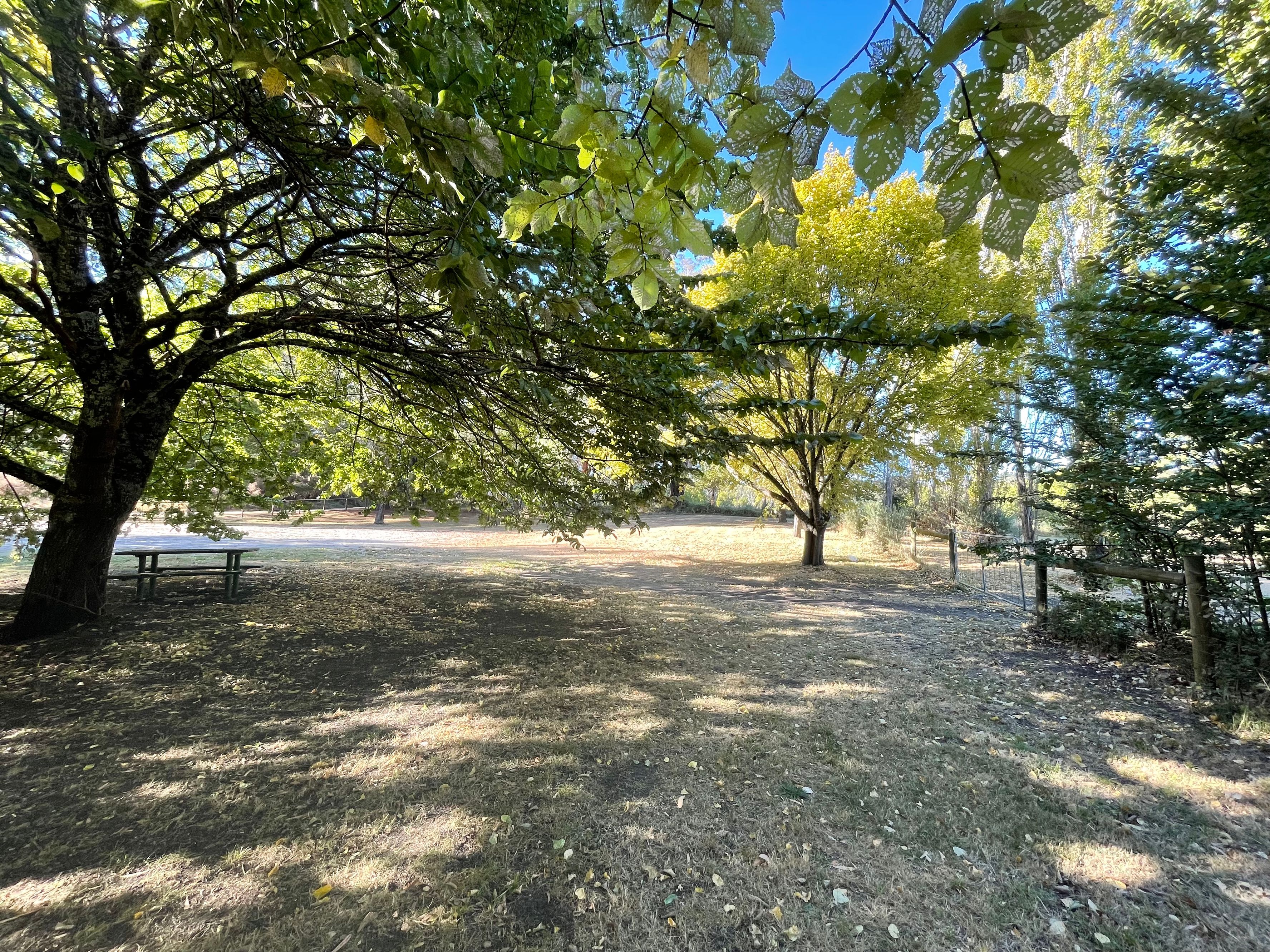 Glenlyon Mineral Springs Reserve Camping