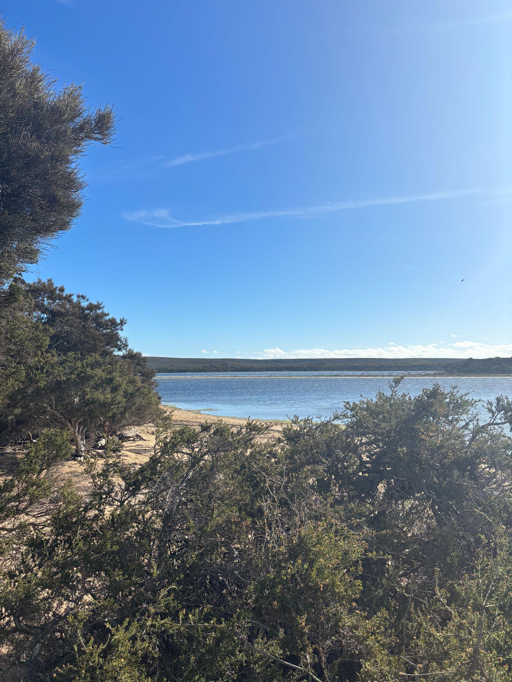 Millers Point Reserve - Image 3