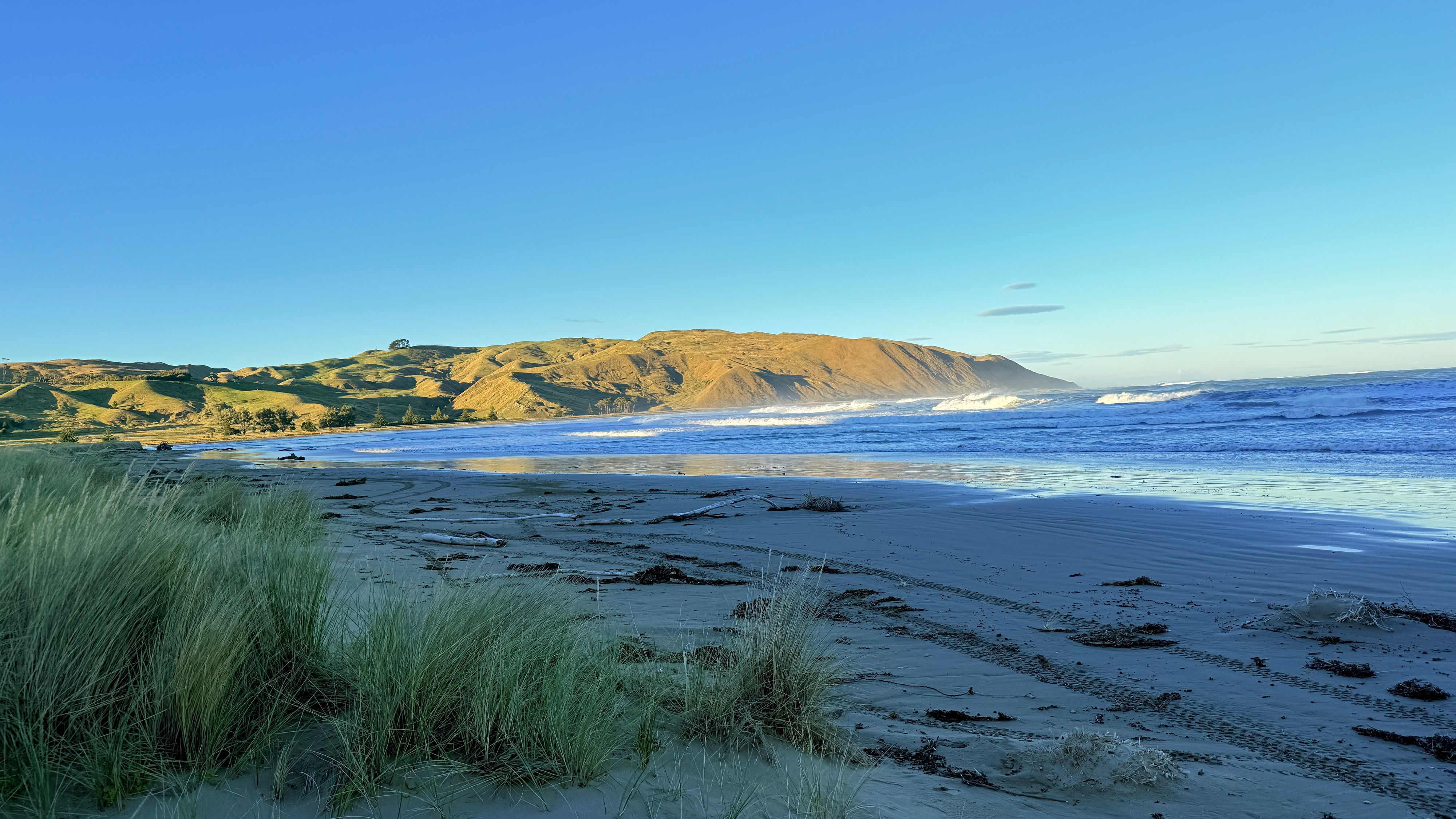 Aramoana Beach - Image 2