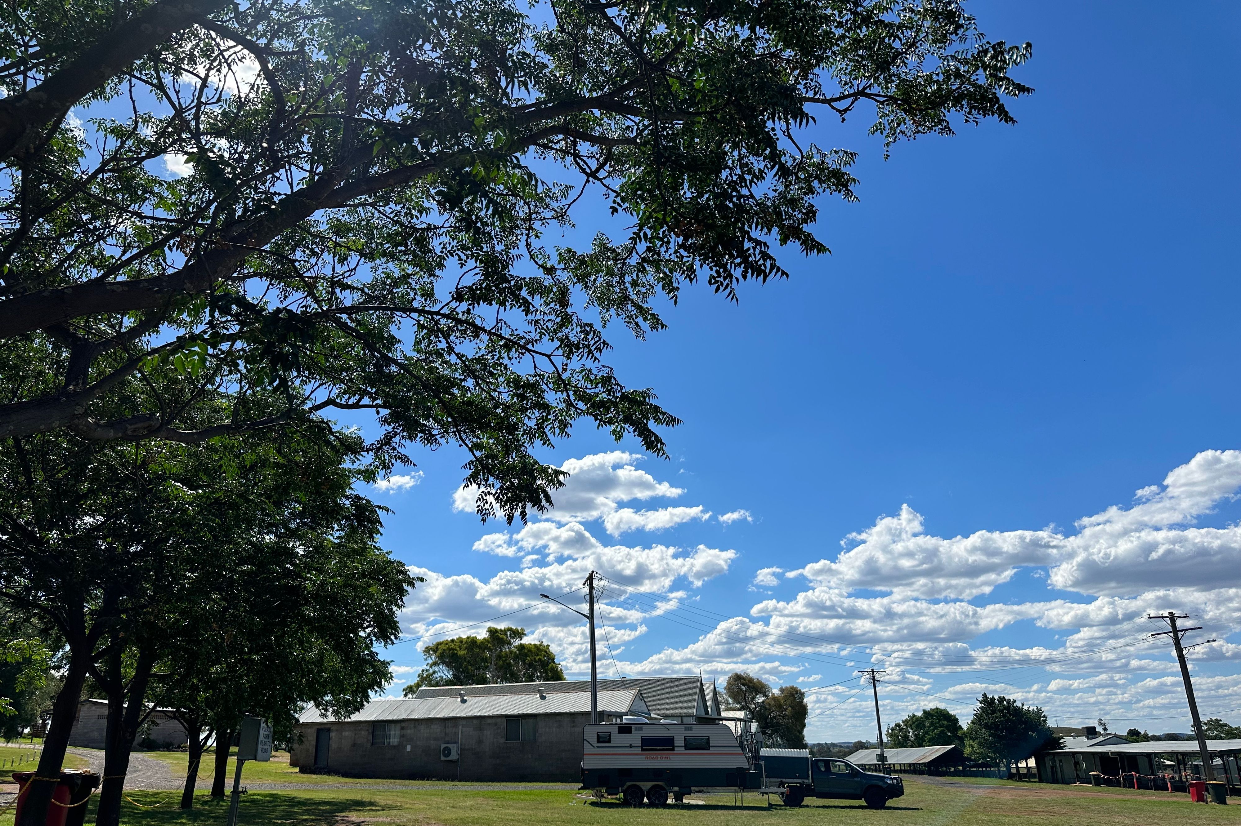 Gulgong Showgrounds - Image 3
