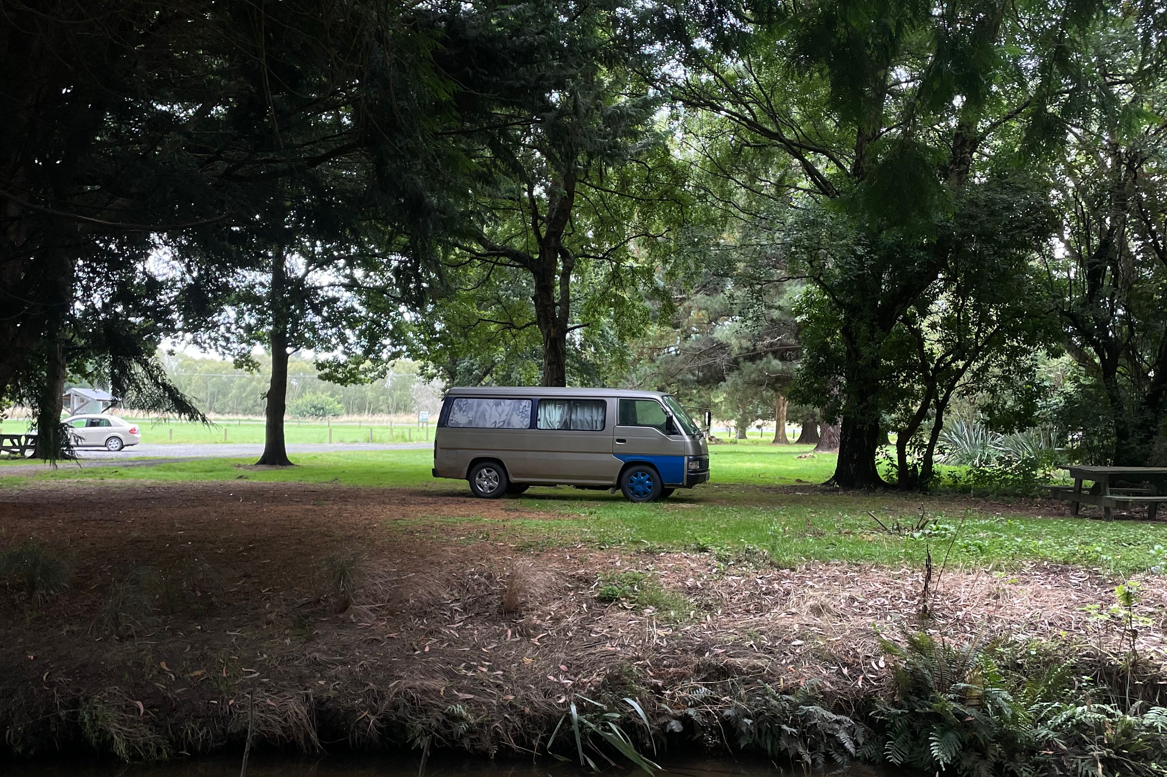 Alex McKenzie Park & Arboretum