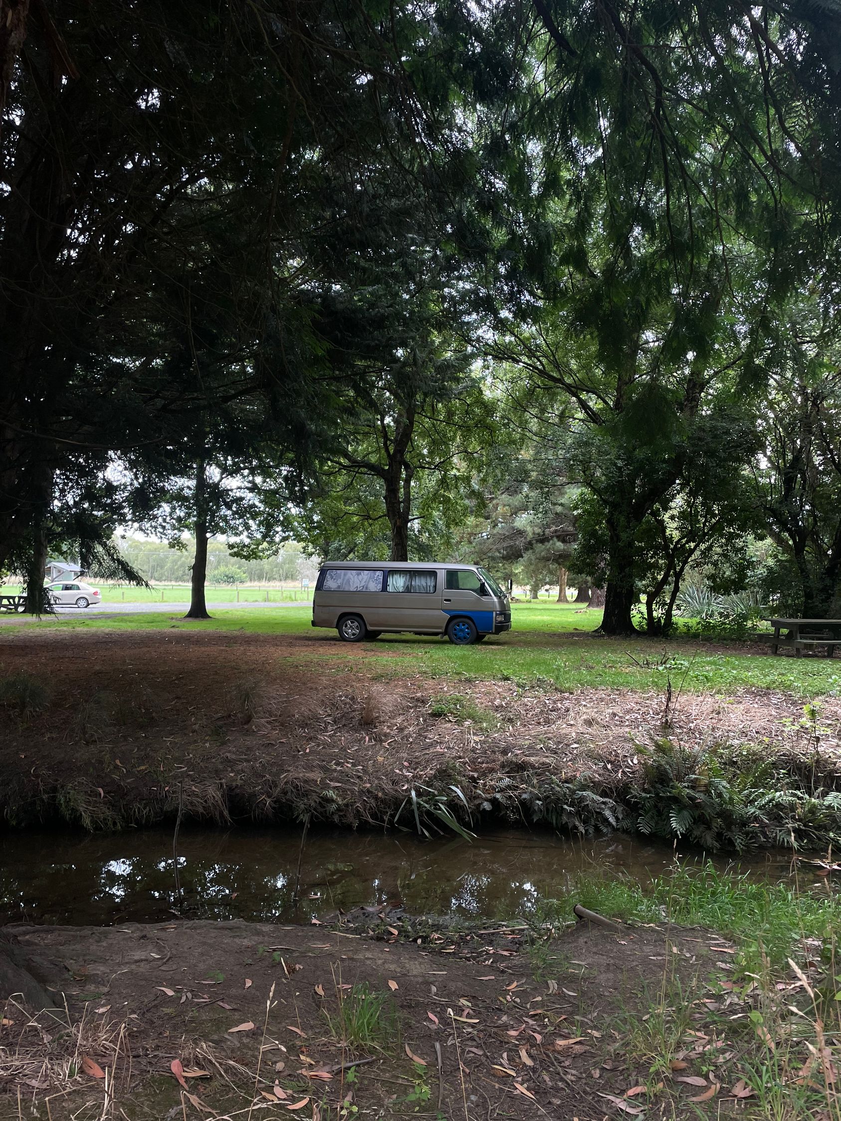 Alex McKenzie Park & Arboretum