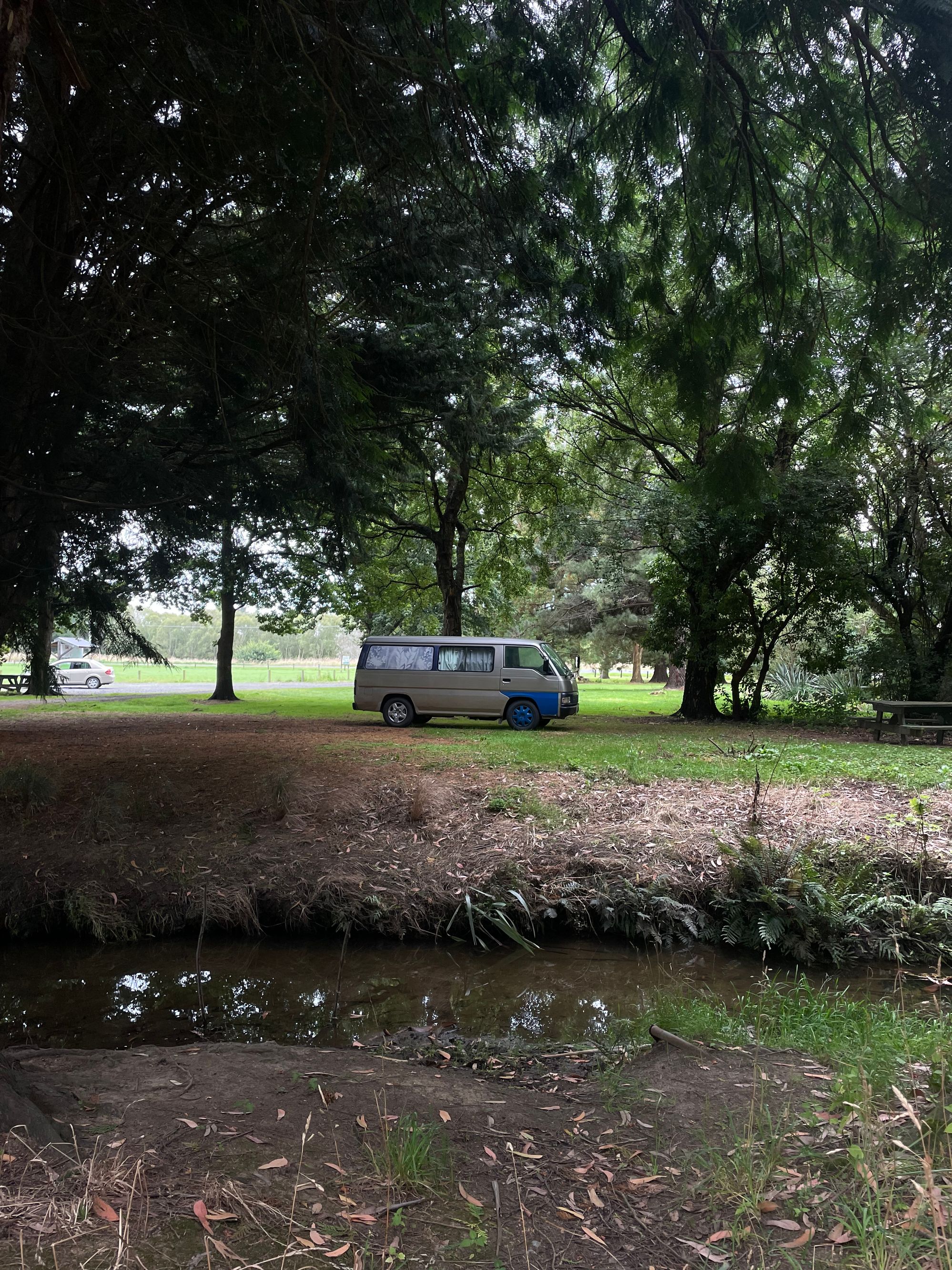 Alex McKenzie Park & Arboretum