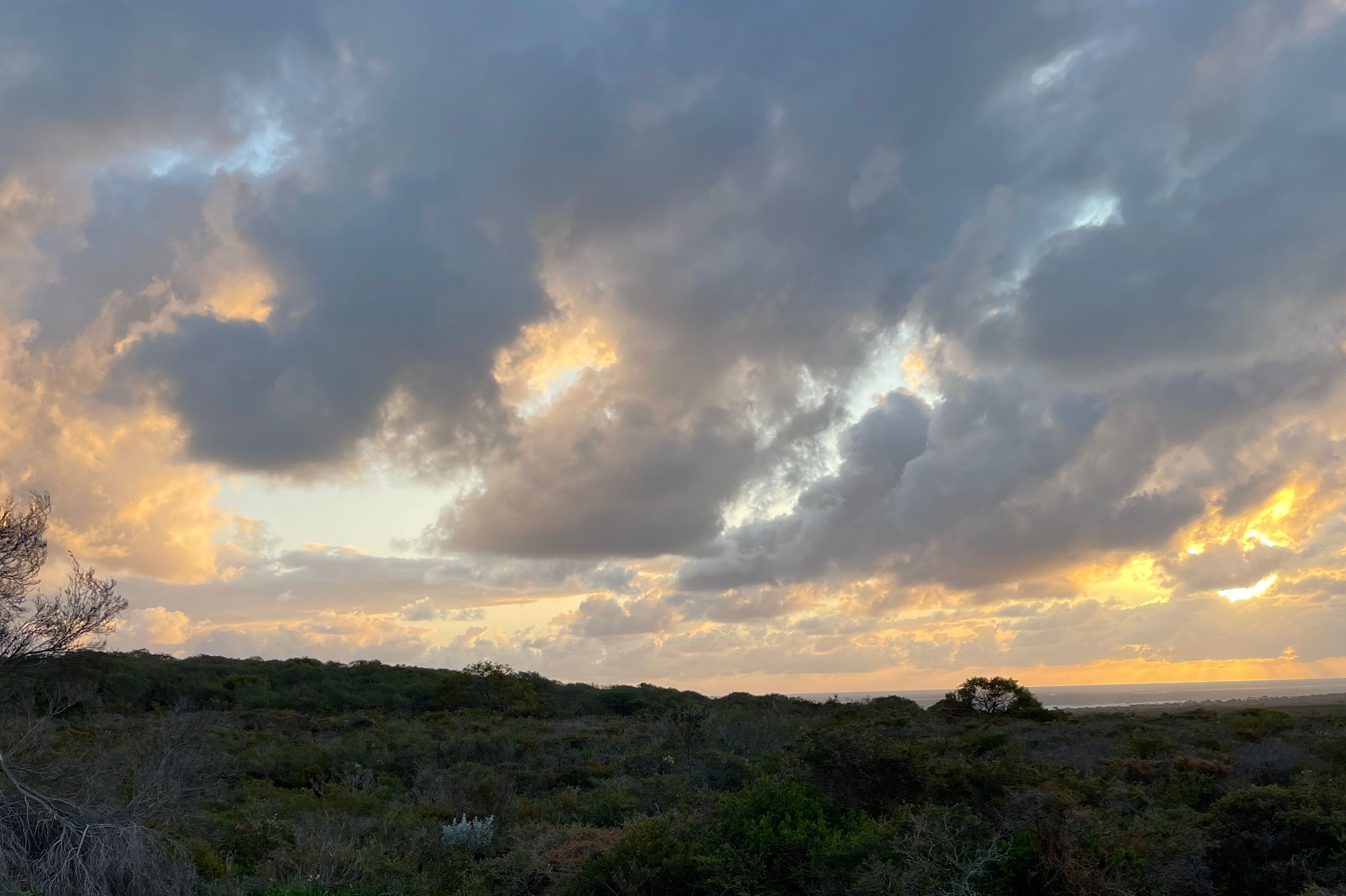 Wedge Lookout