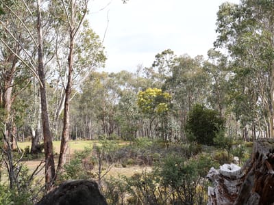 Lake Sorell Campground
