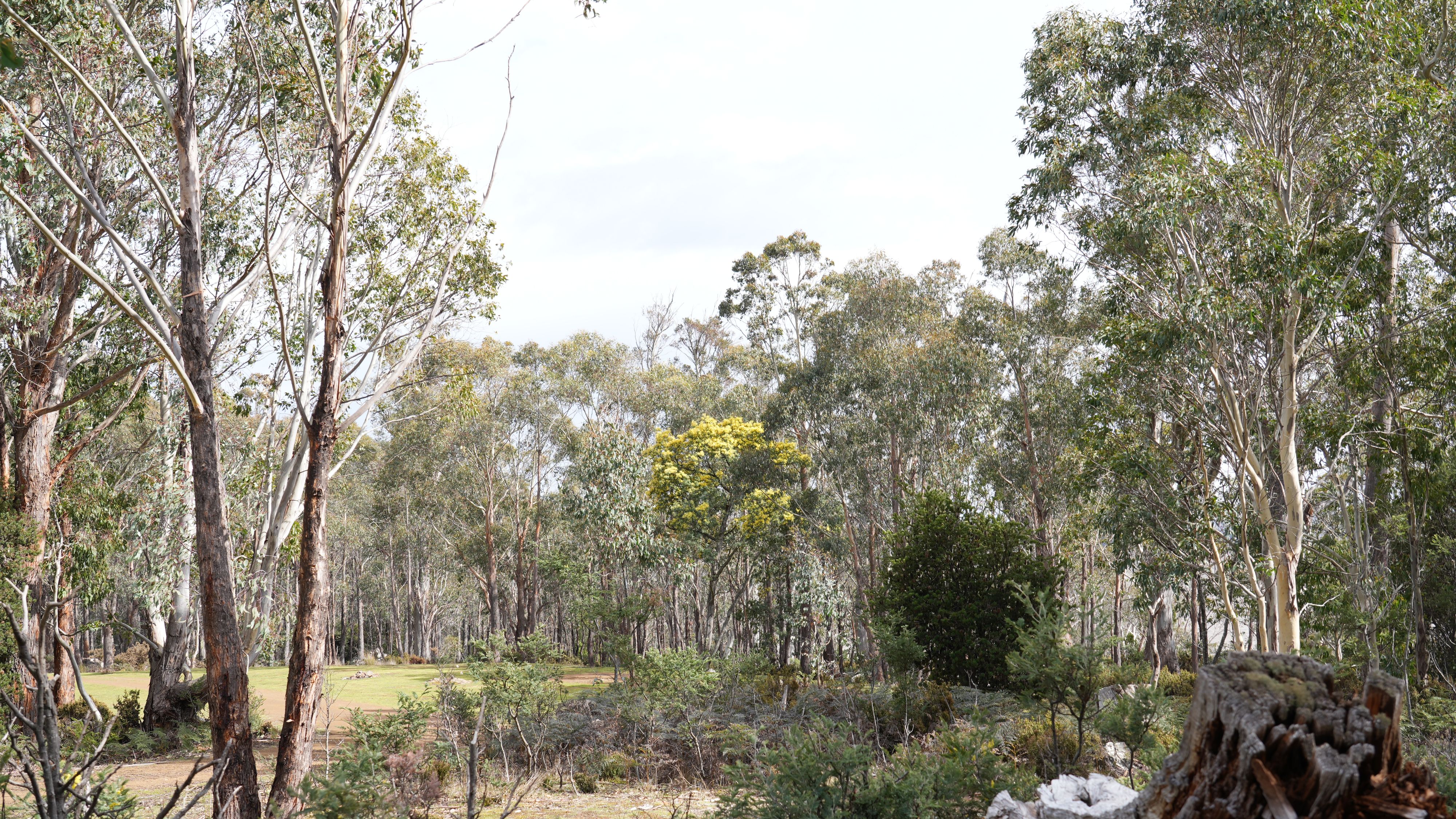 Lake Sorell Campground