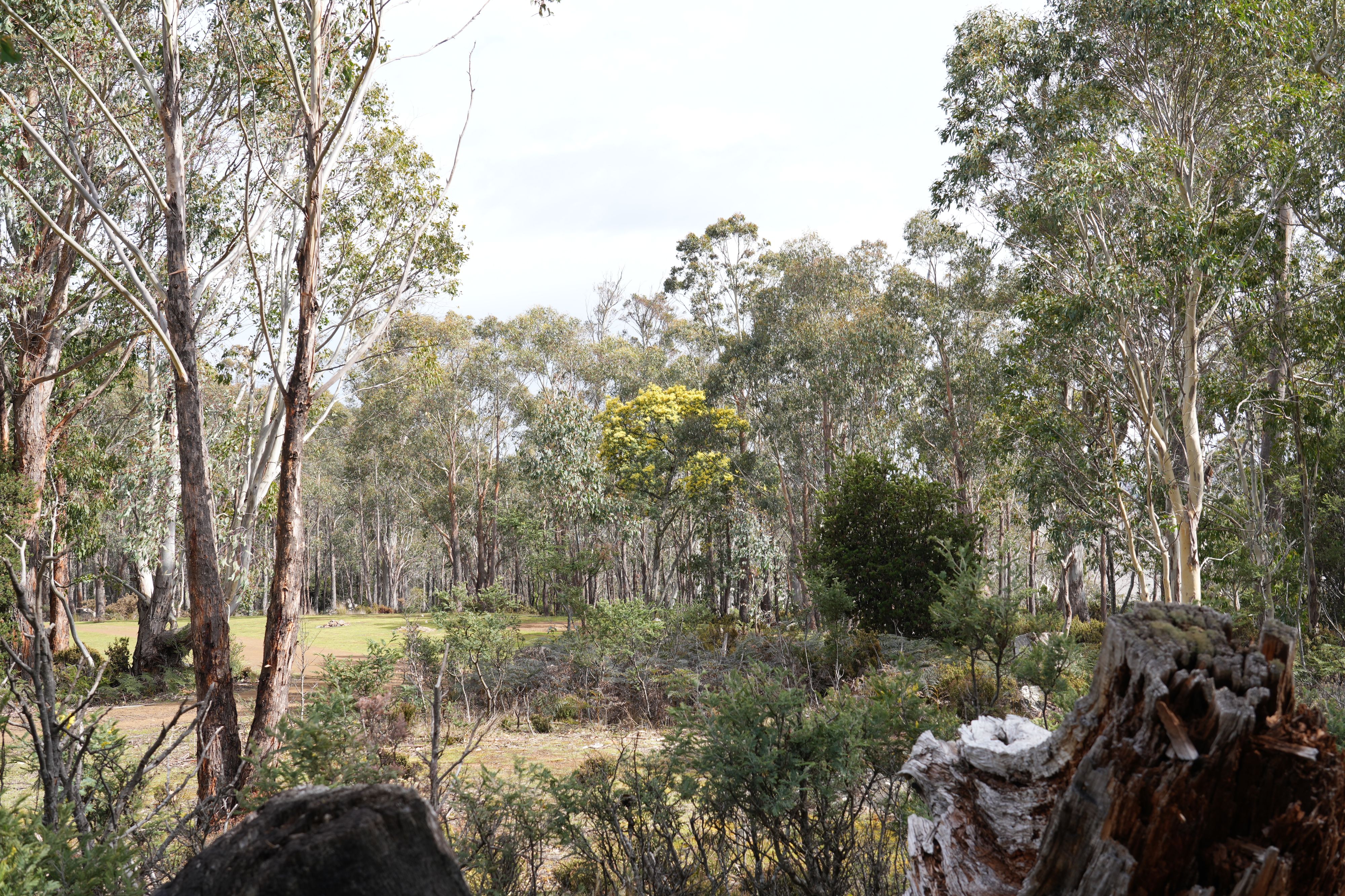 Lake Sorell Campground