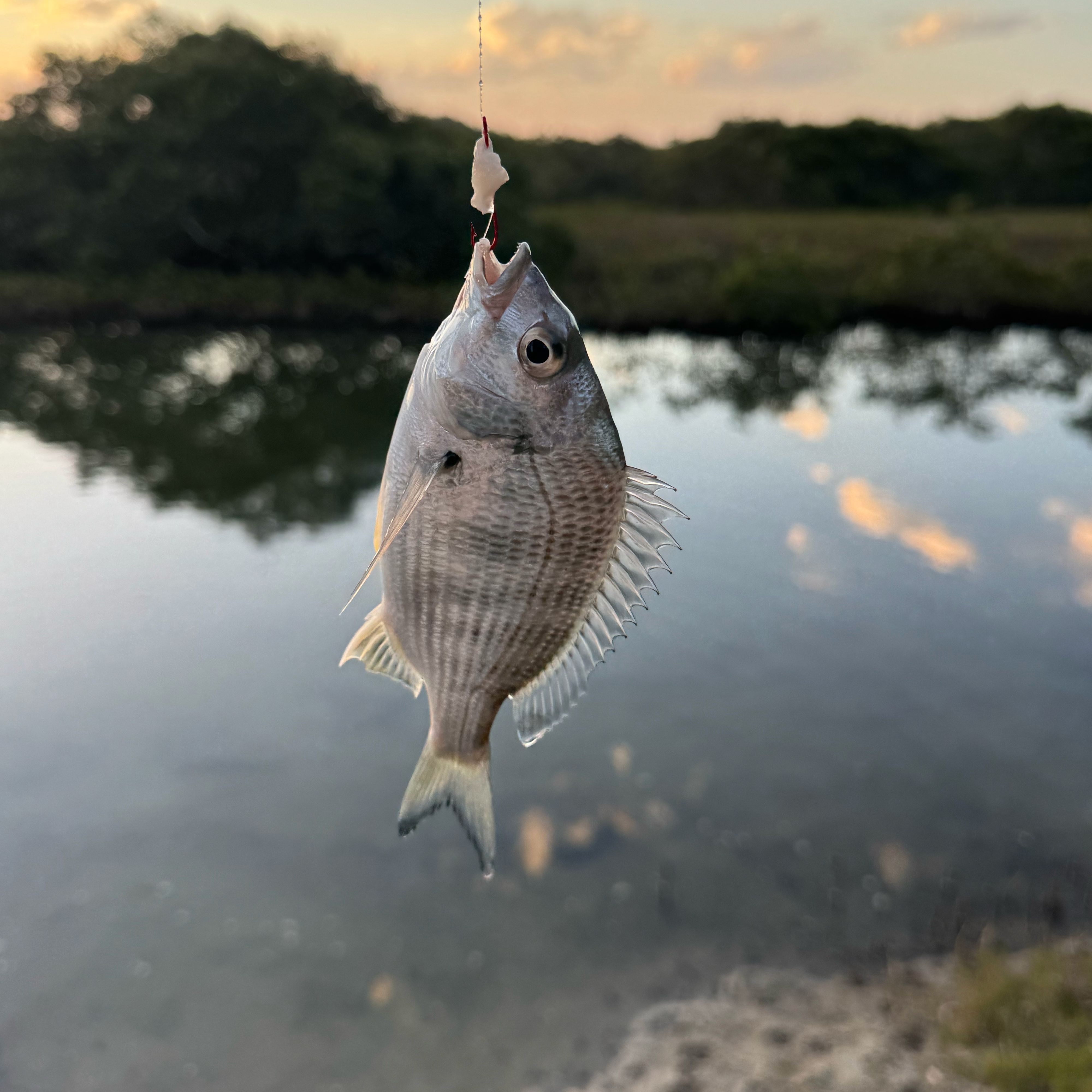 Reisefoto von Lanis Holiday Island