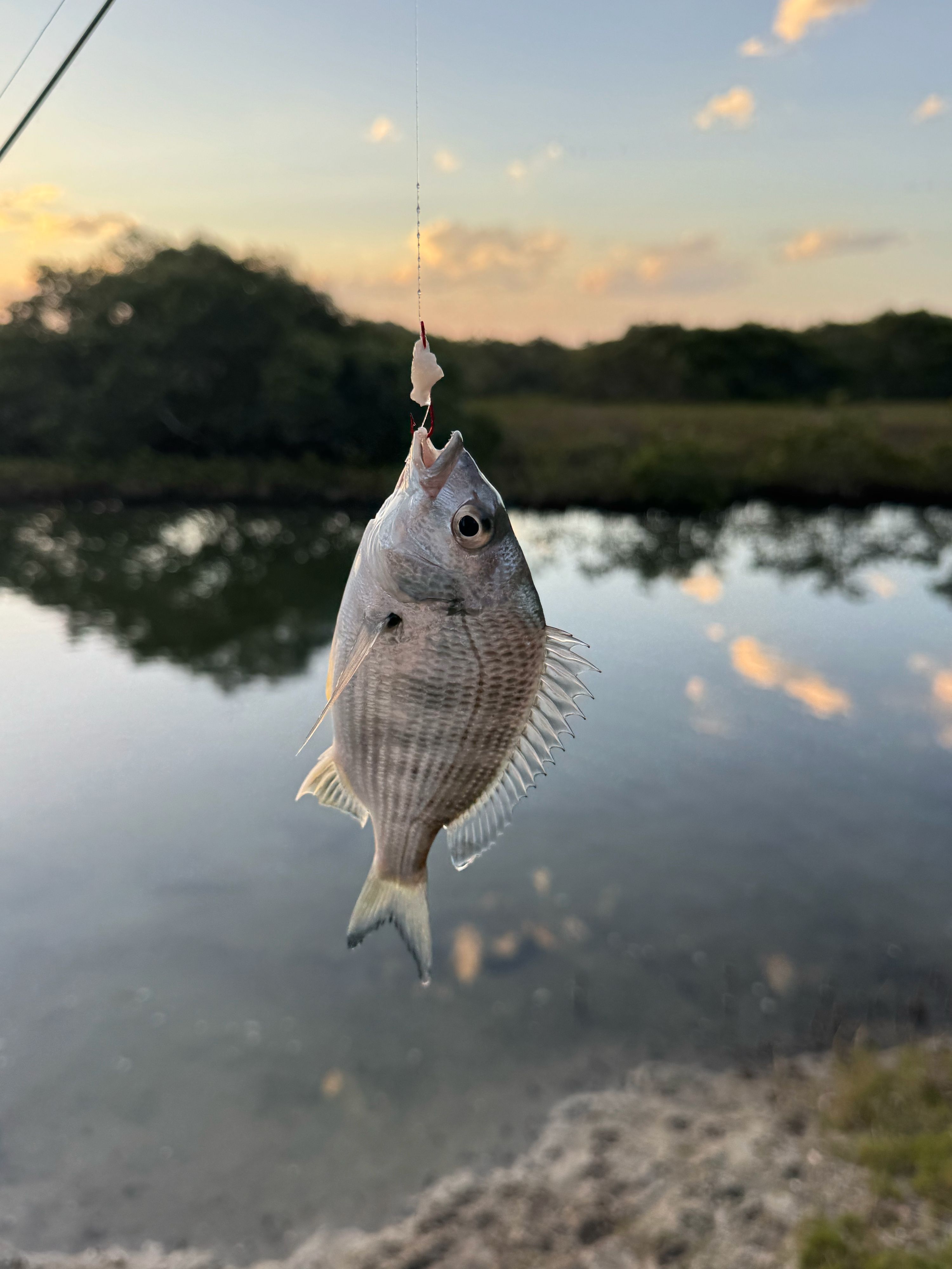 Reisefoto von Lanis Holiday Island