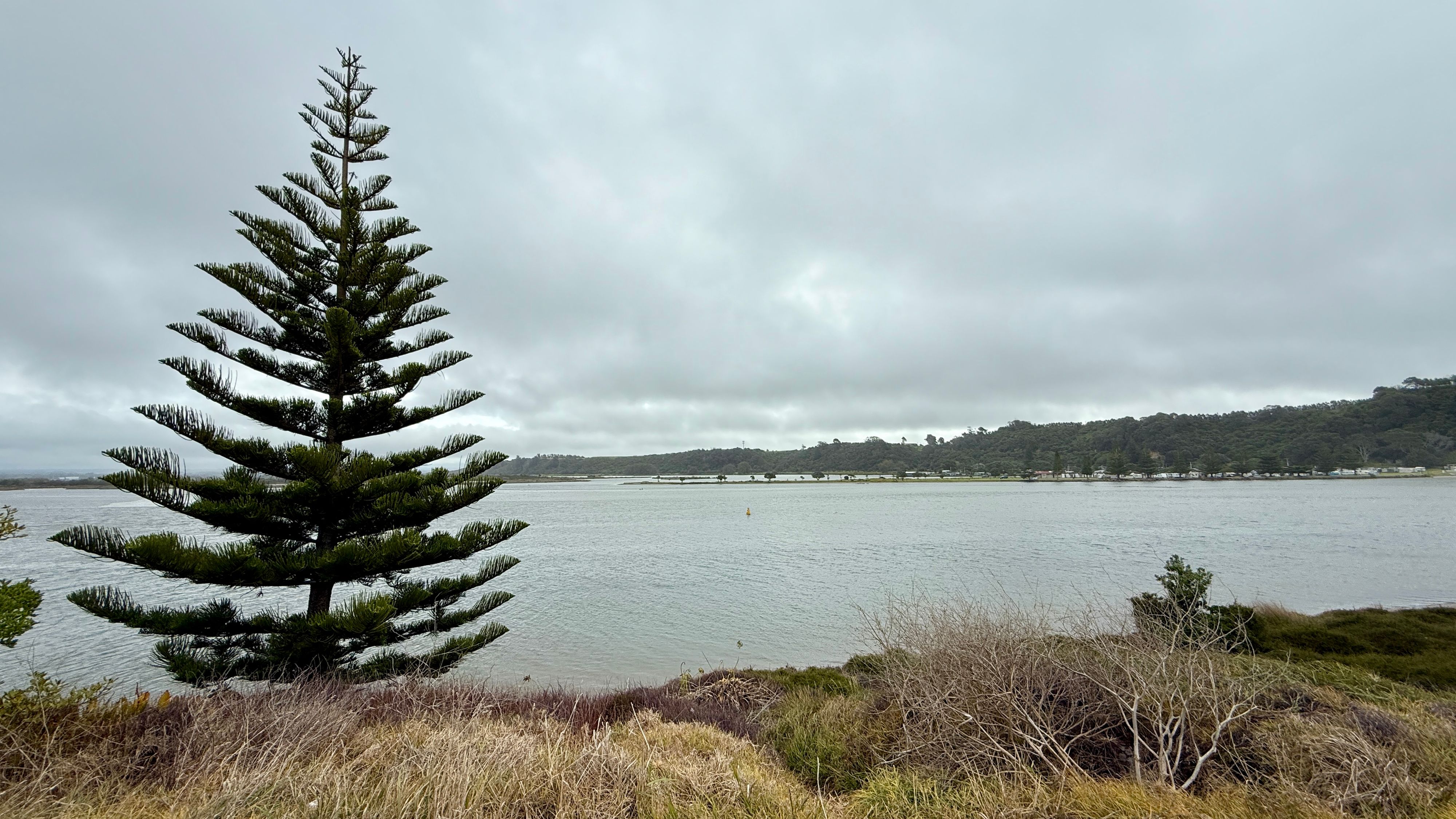 Dotterel Point Reserve - Image 2