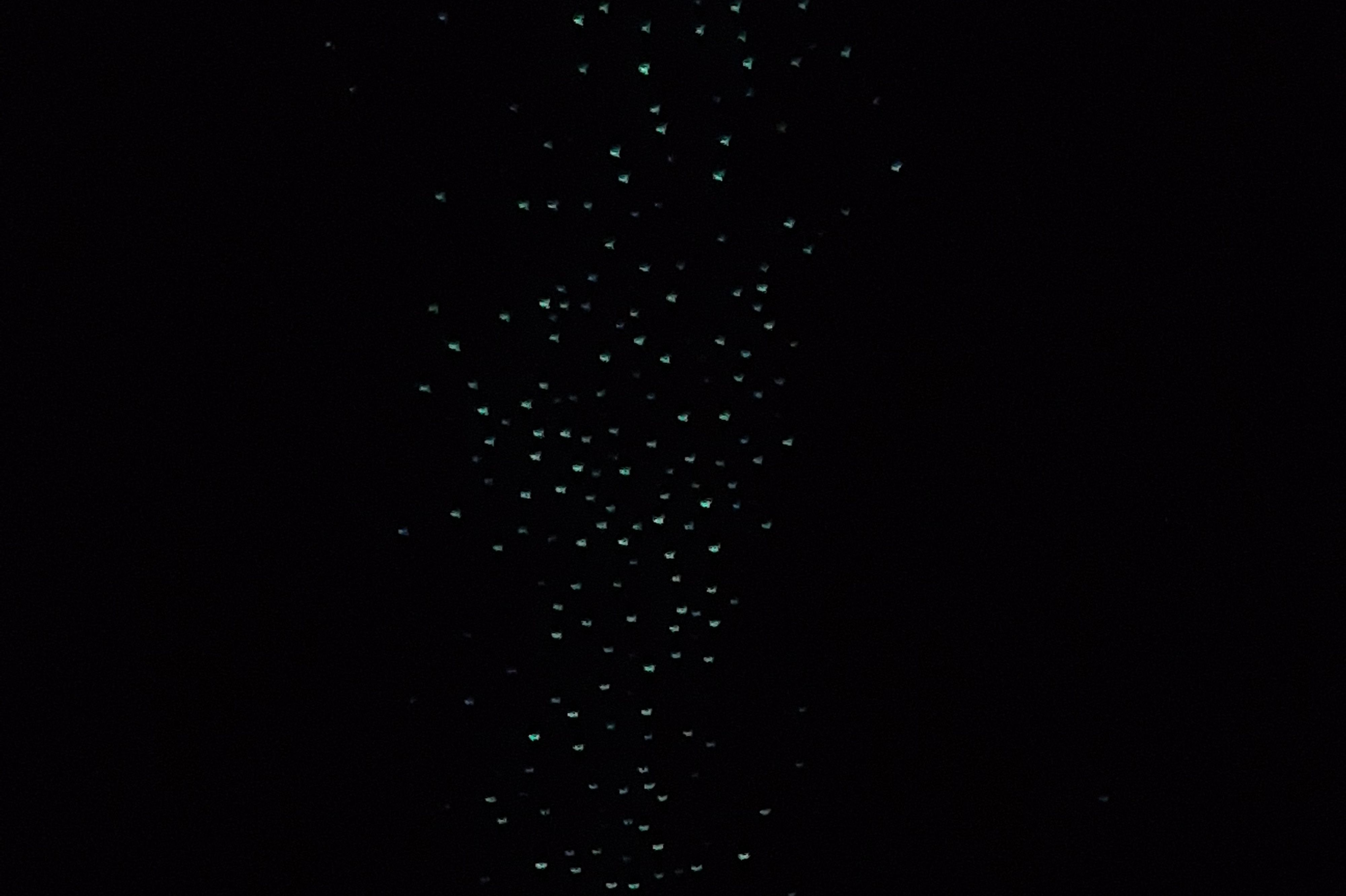 Apiti Limestone Caves & Glow Worms - Image 3