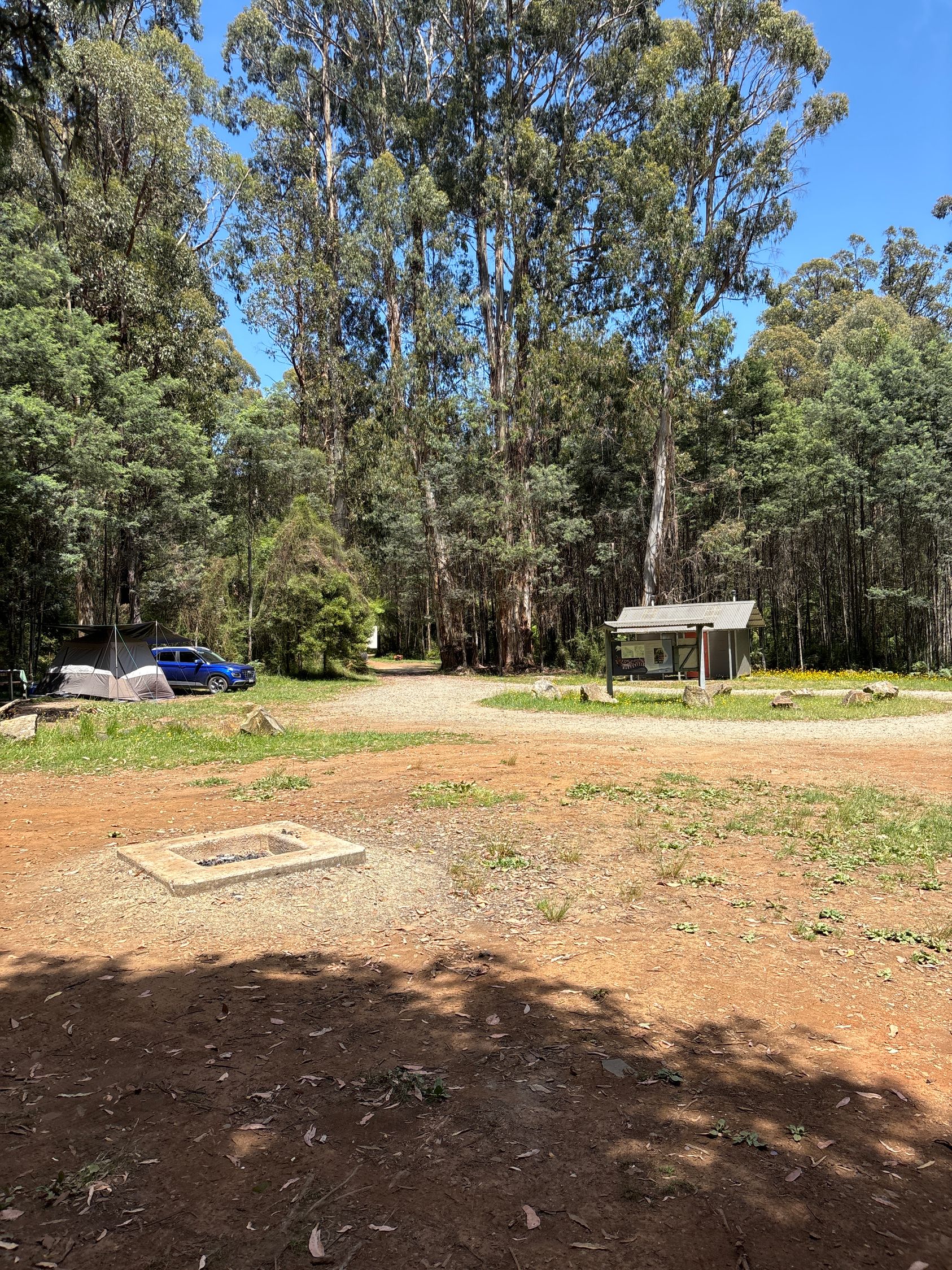 Andersons Mill Camping