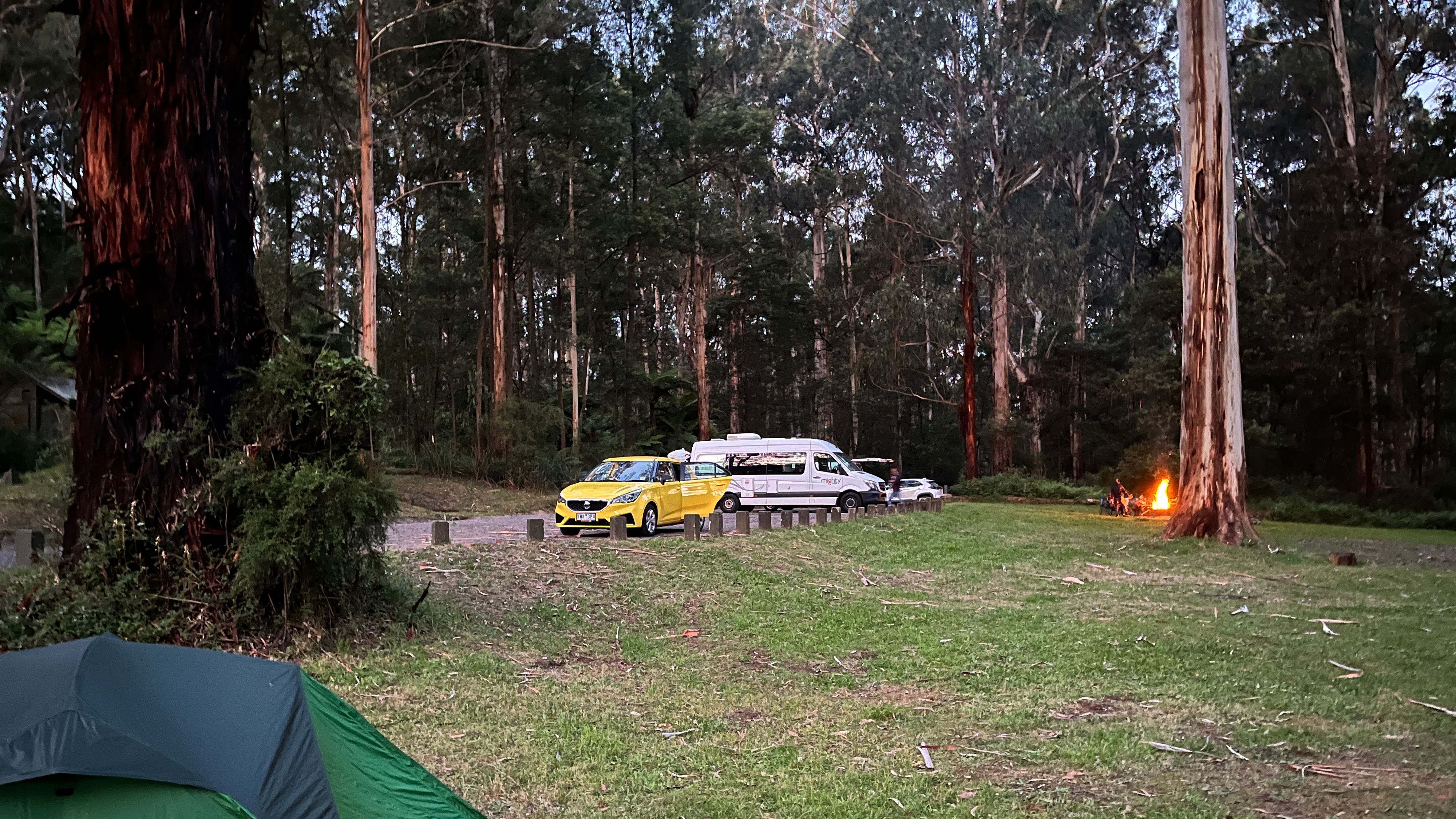 Mortimer Picnic Terreno