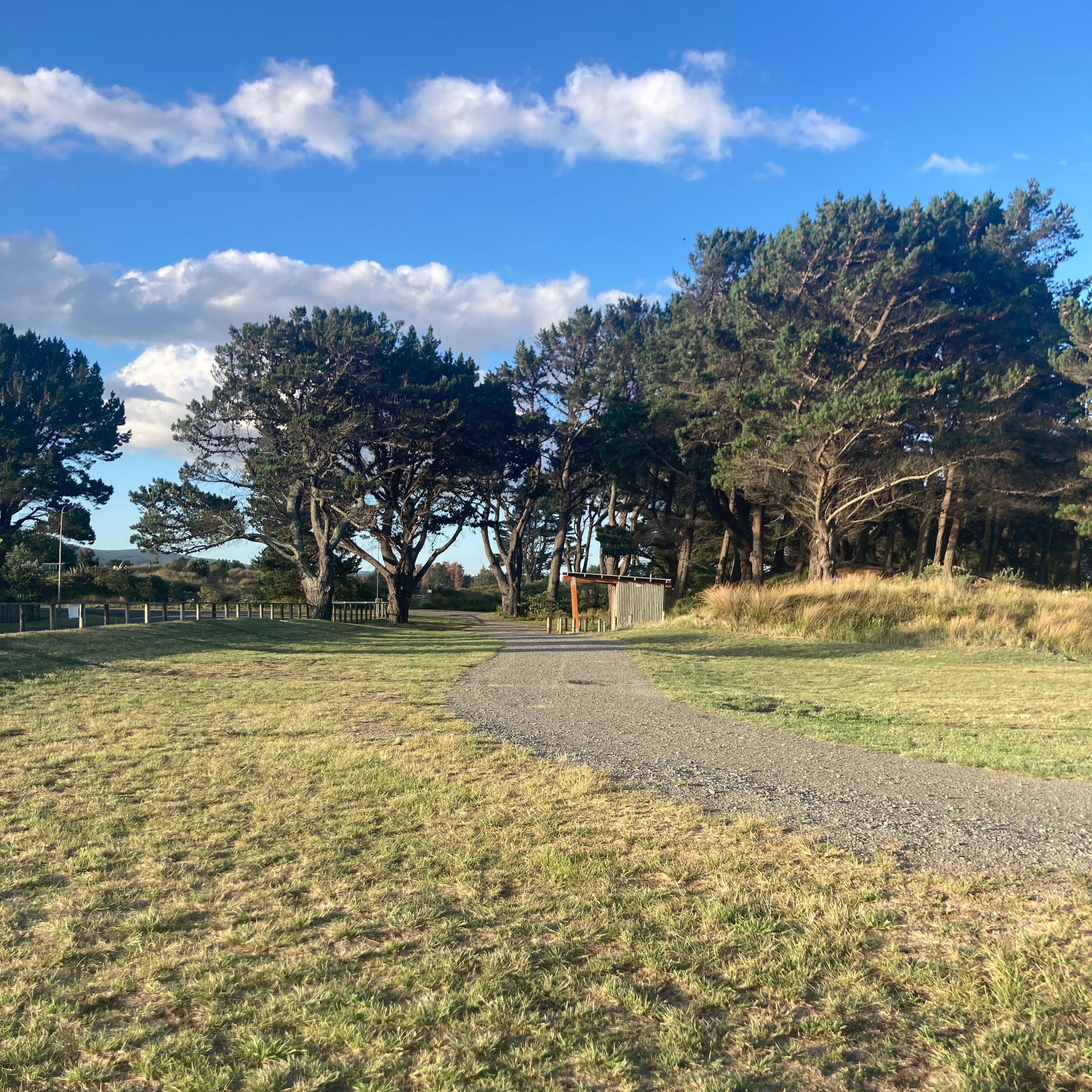 Te Paerahi Beach (Porangahau) Freedom Camping - Image 2