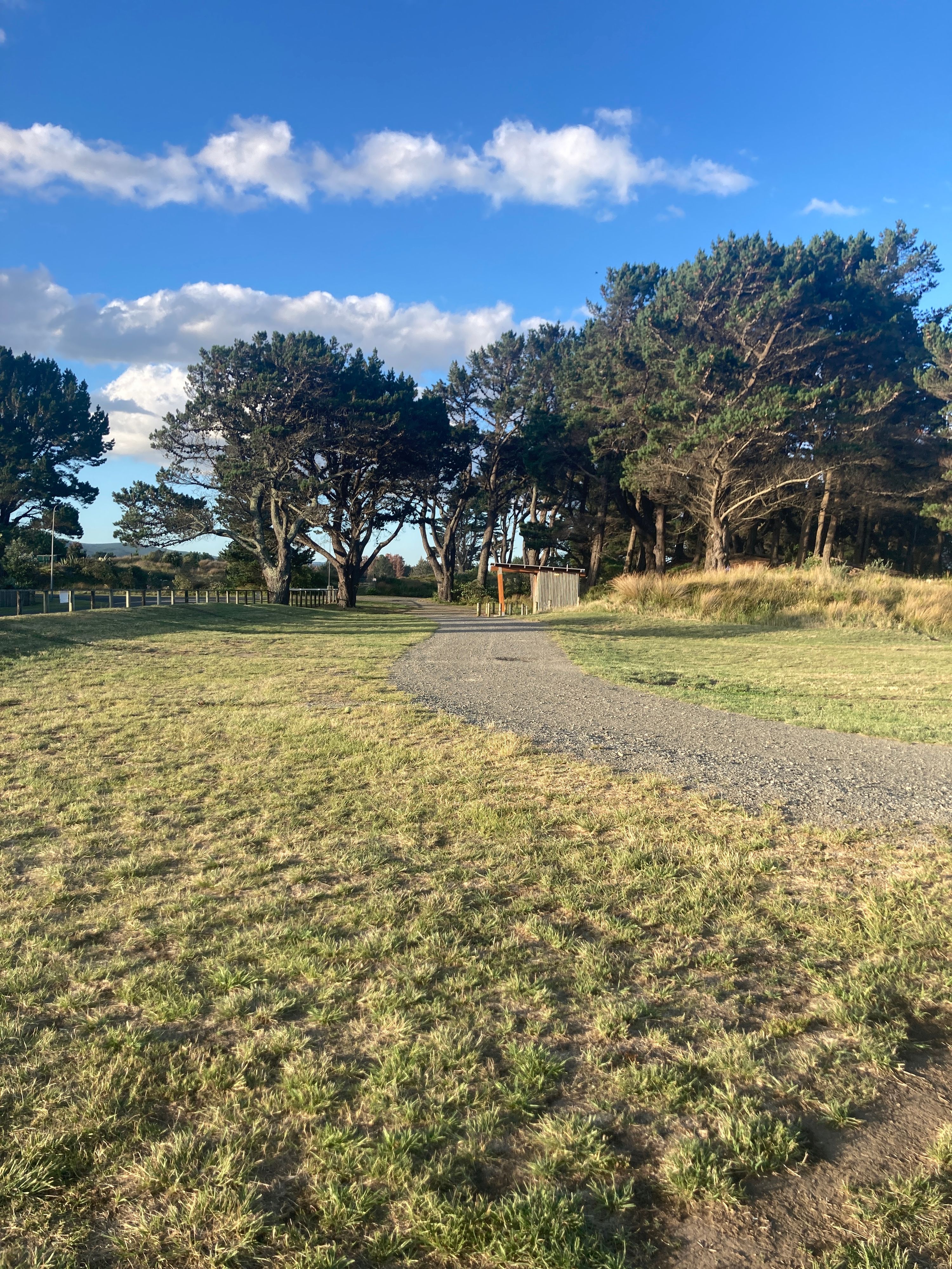 Te Paerahi Beach (Porangahau) Freedom Camping - Image 2