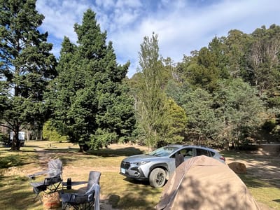 Campo de Campismo Griffin Park