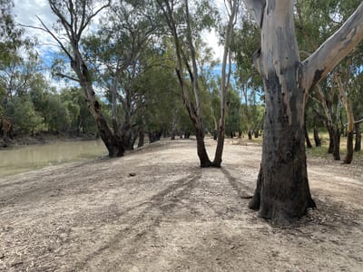 Wanganella Weir