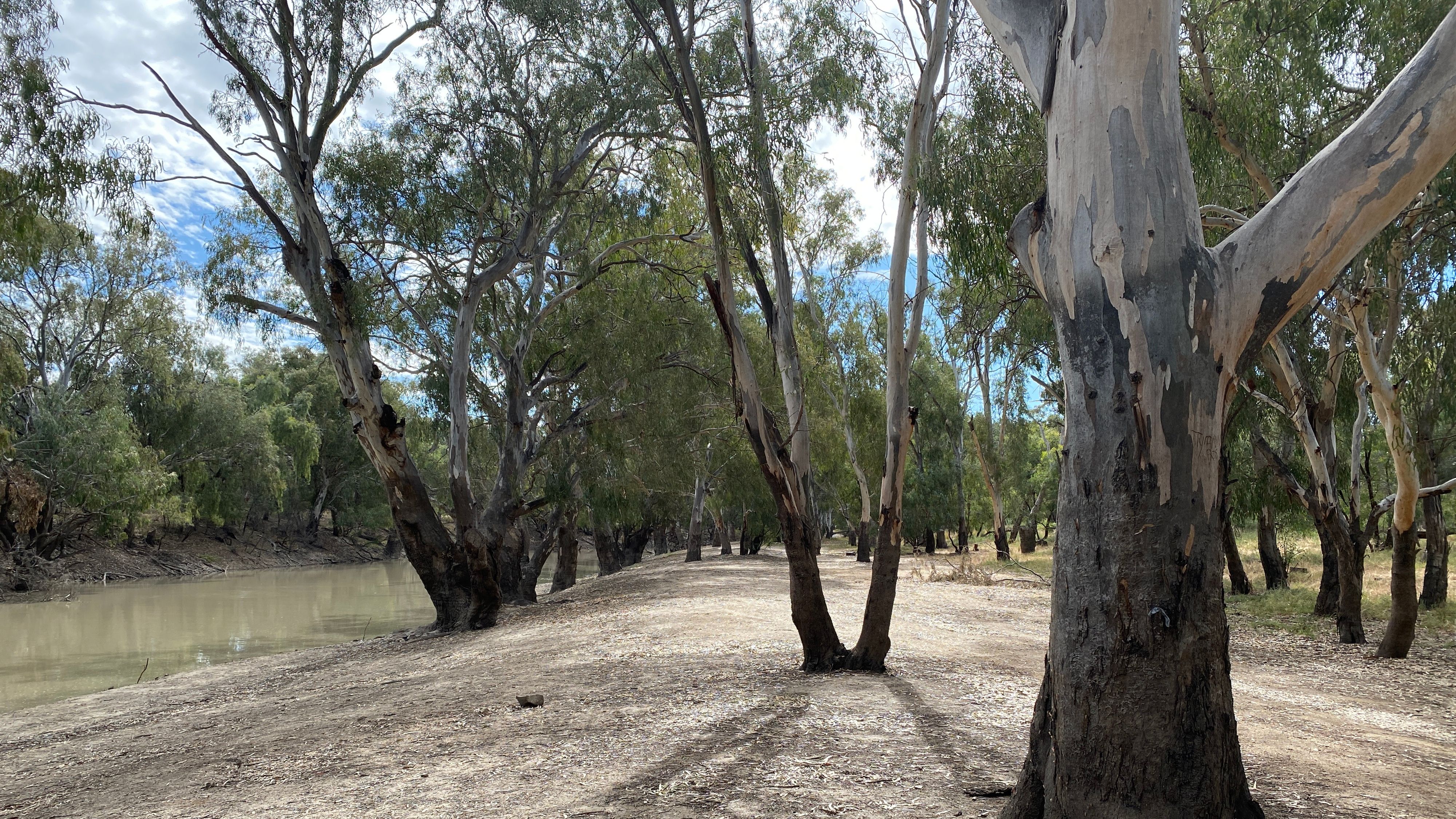 Wanganella Weir