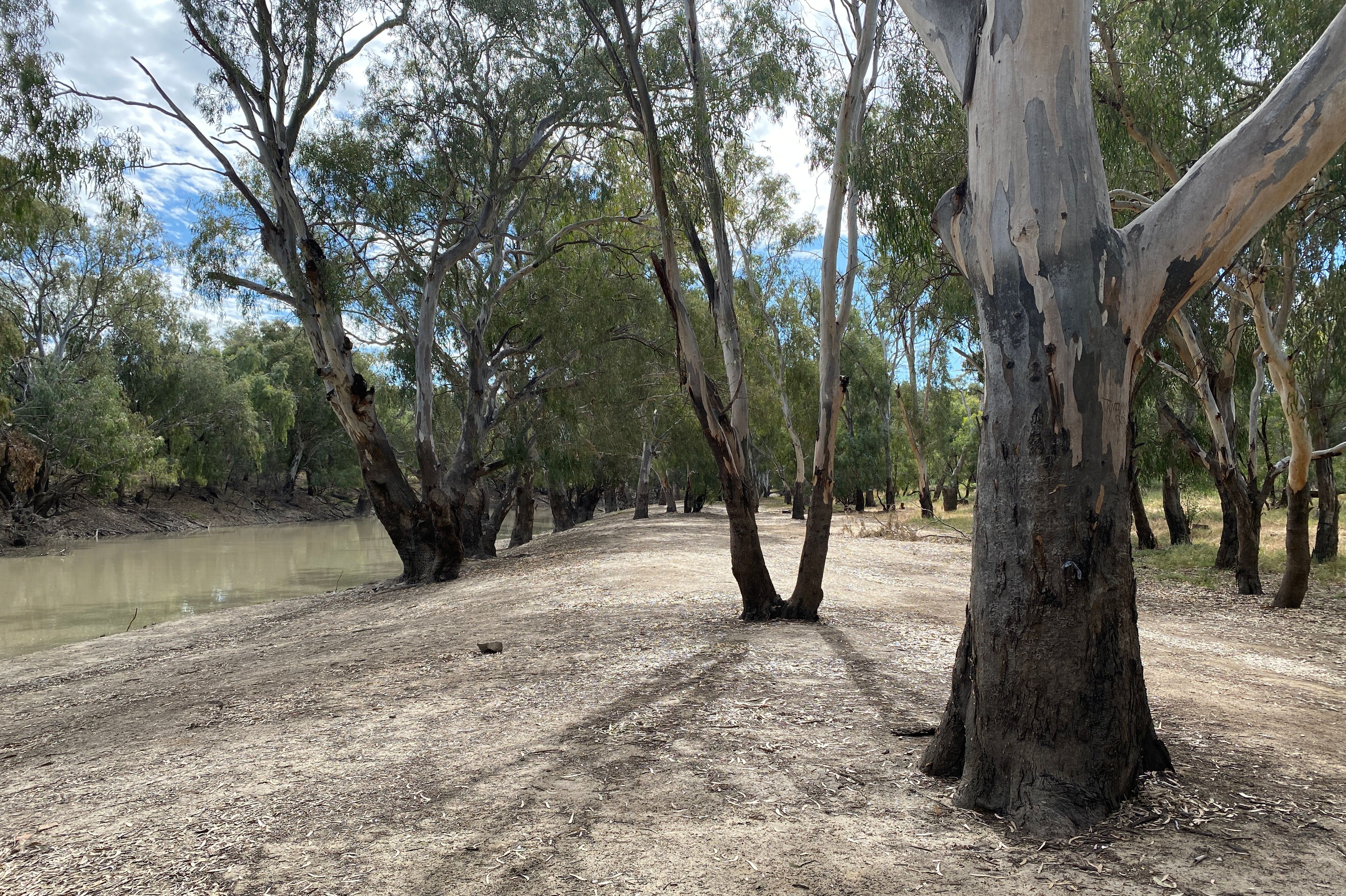 Wanganella Weir