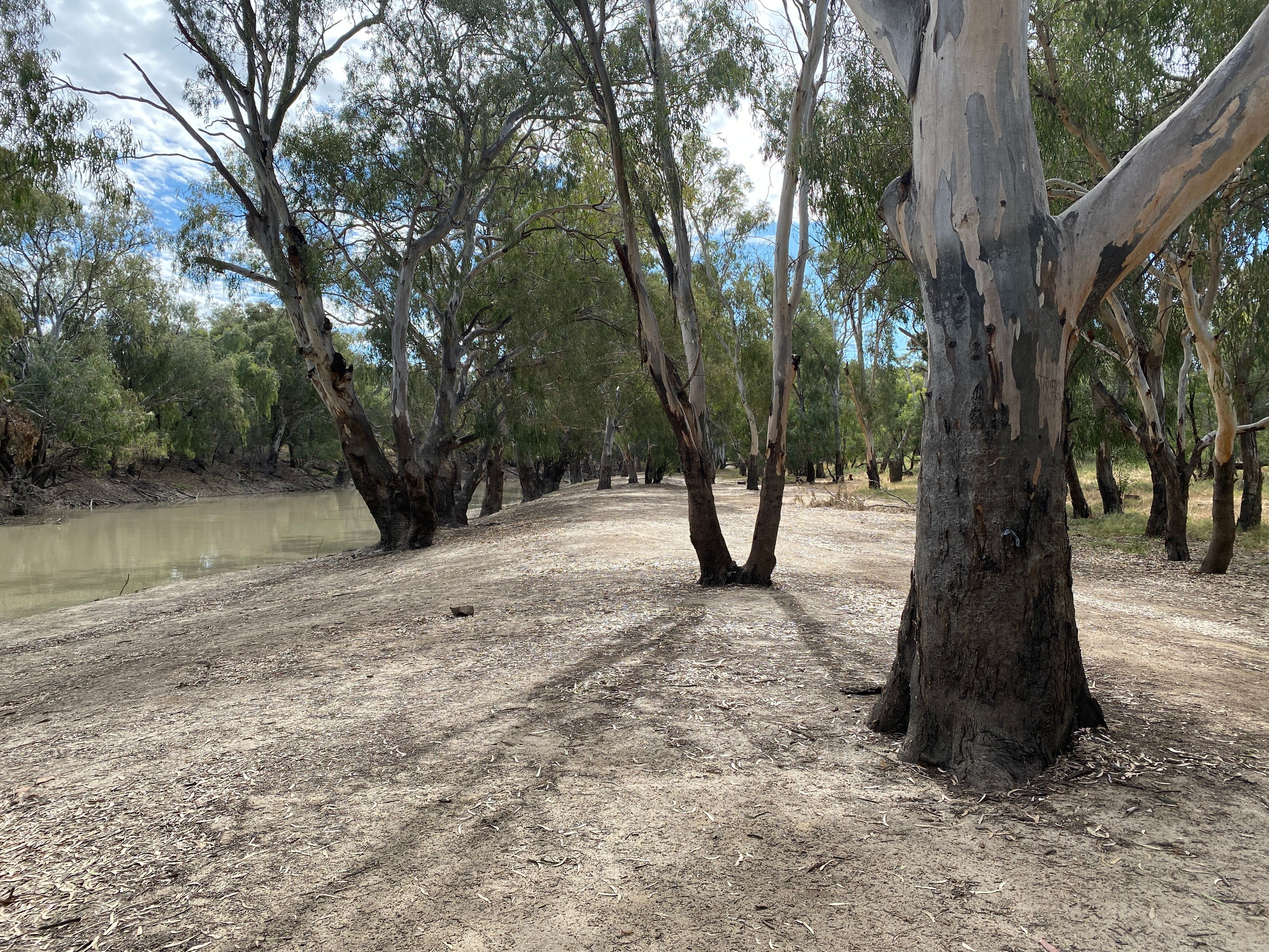 Wanganella Weir