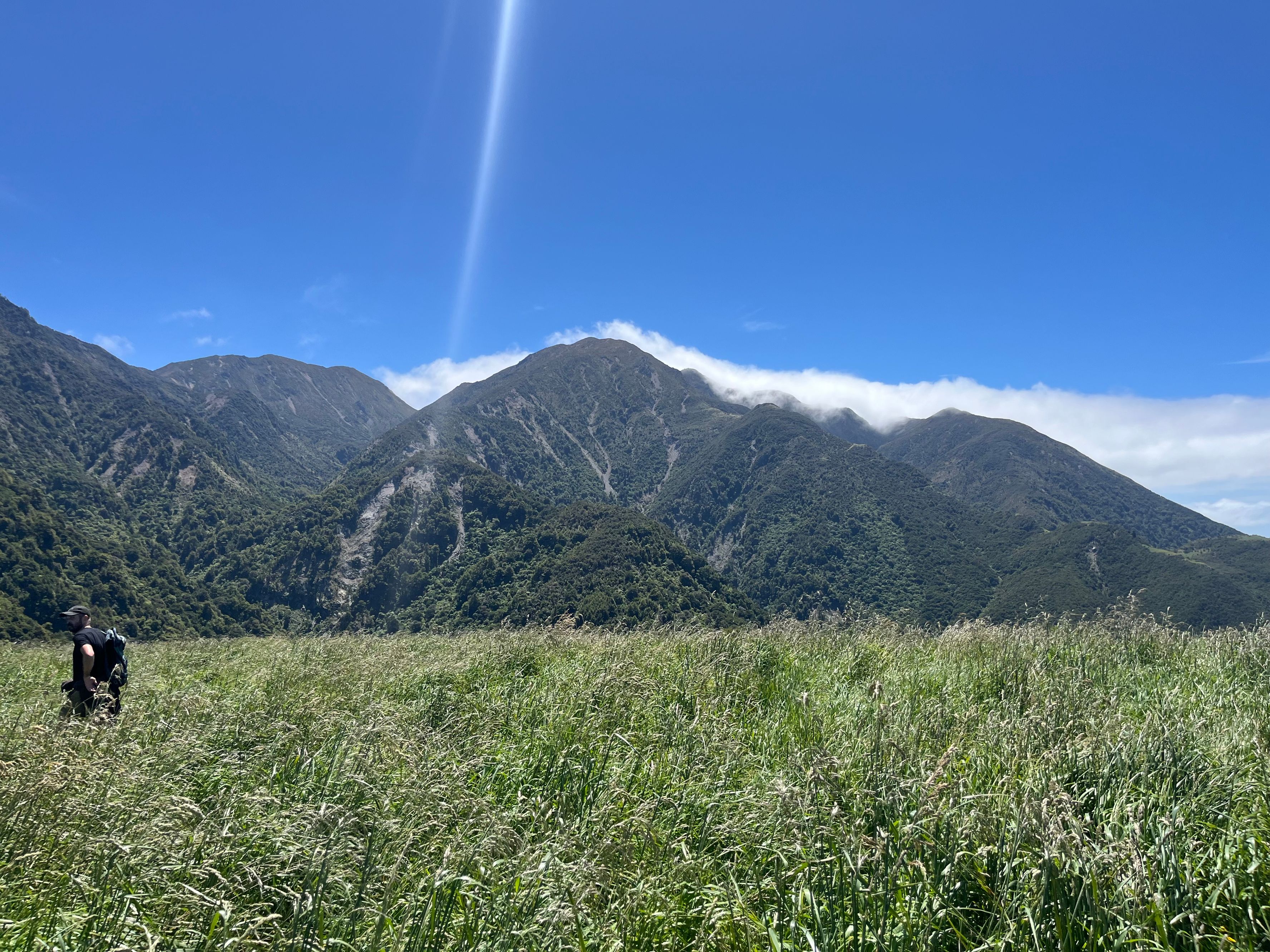 Pacific Lookout Track - Image 2