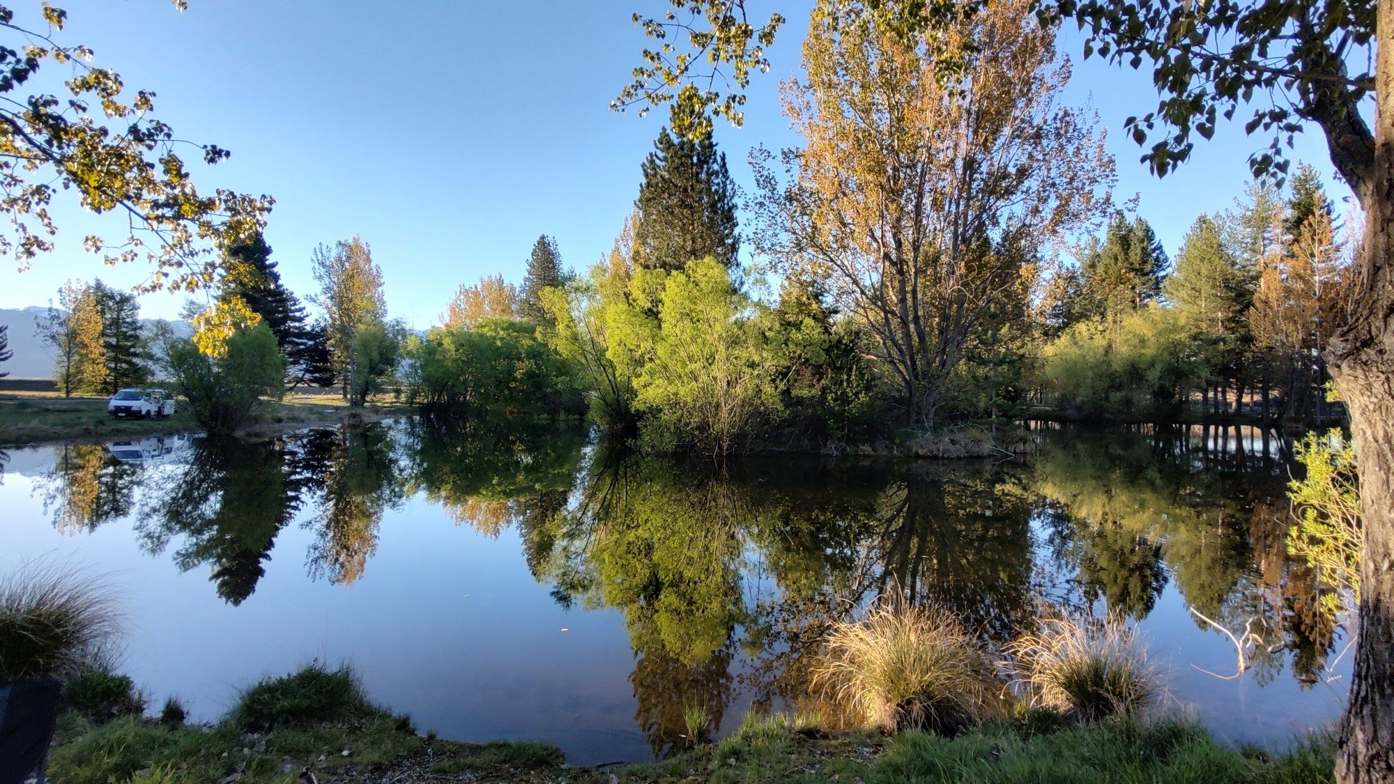 Traveller photo of Lake Wardell