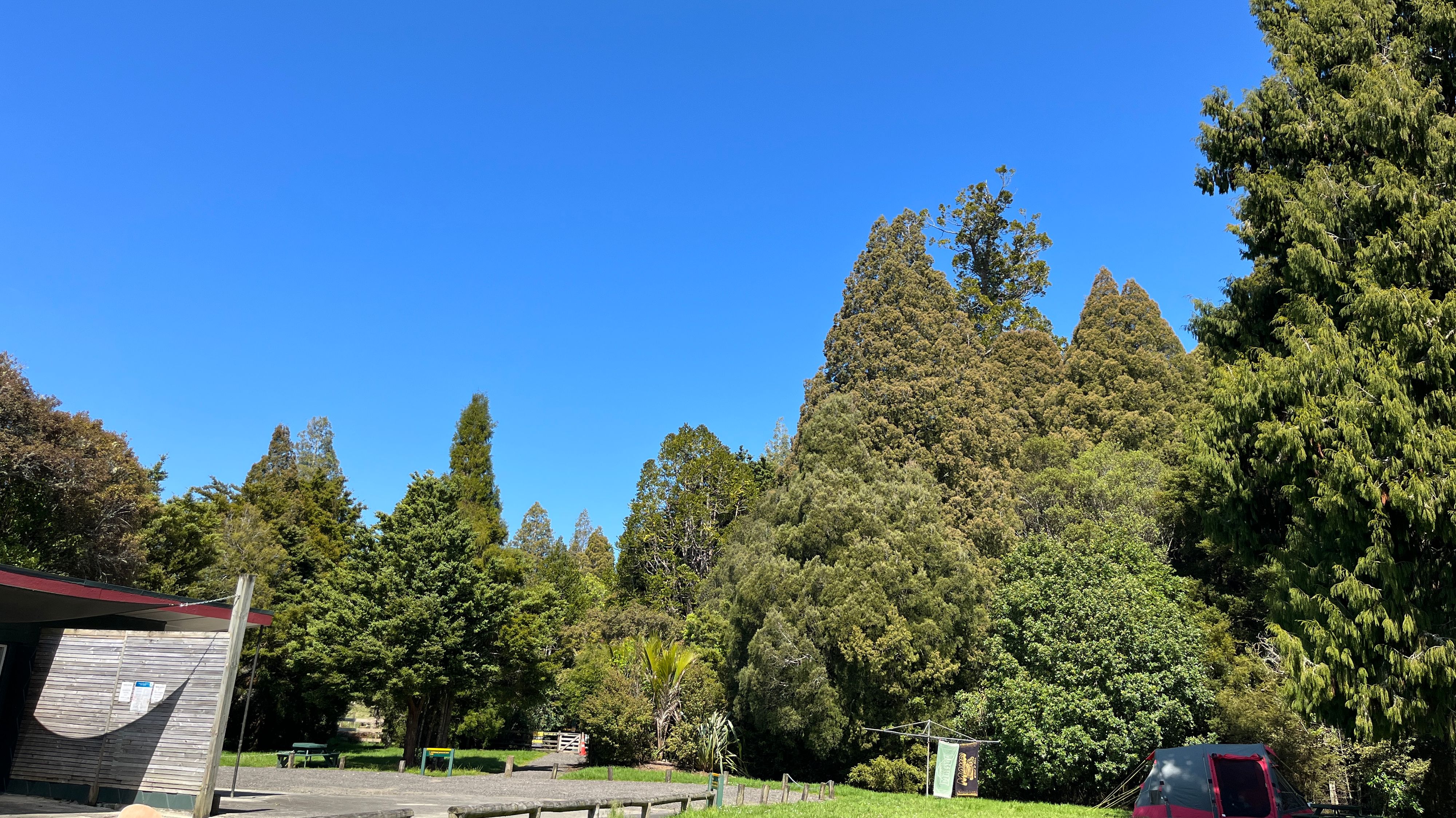 Trounson Kauri Park 露营地