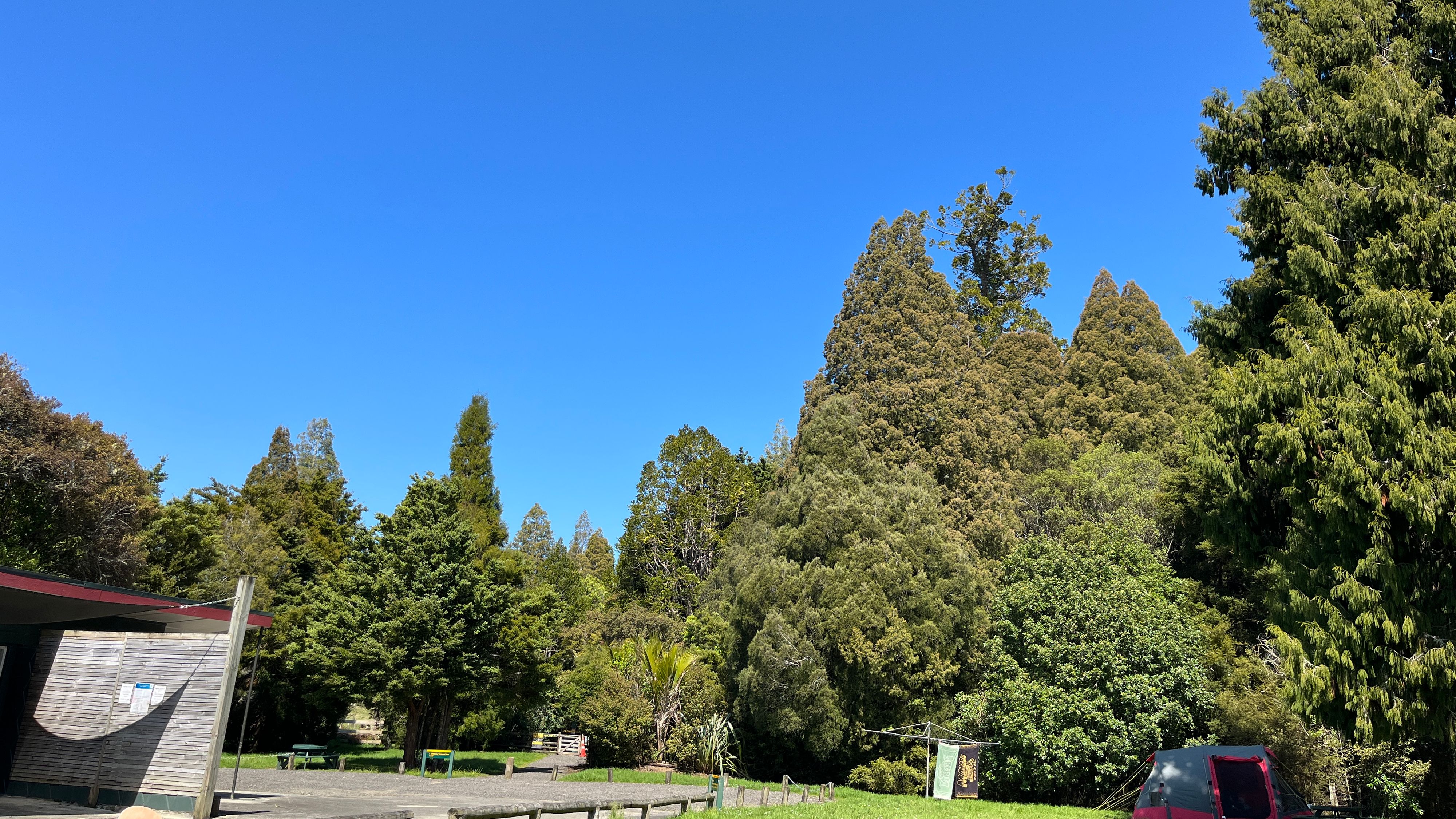 אטרקציות בTrounson Kauri Park Camping