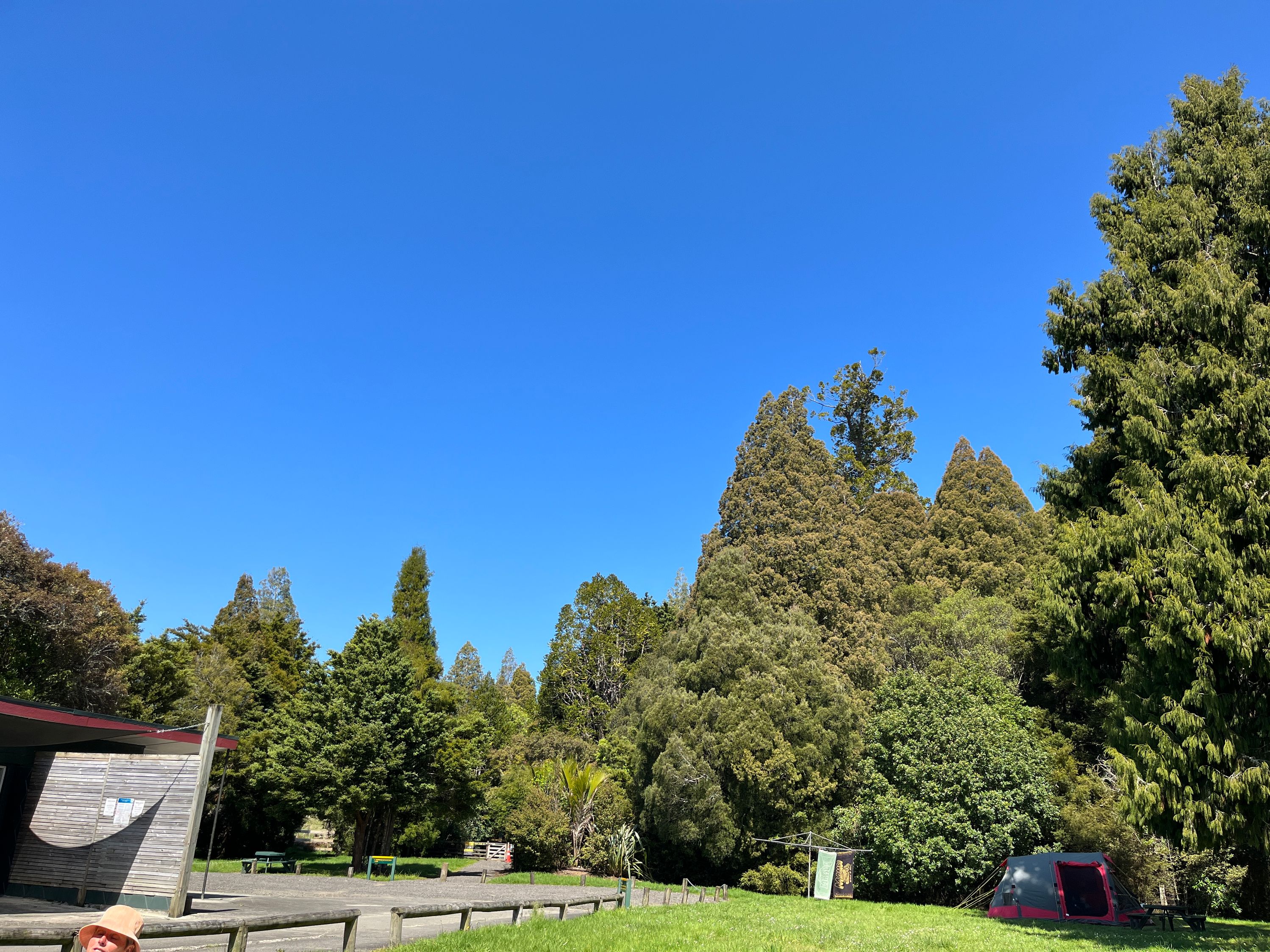 Trounson Kauri Park Campground