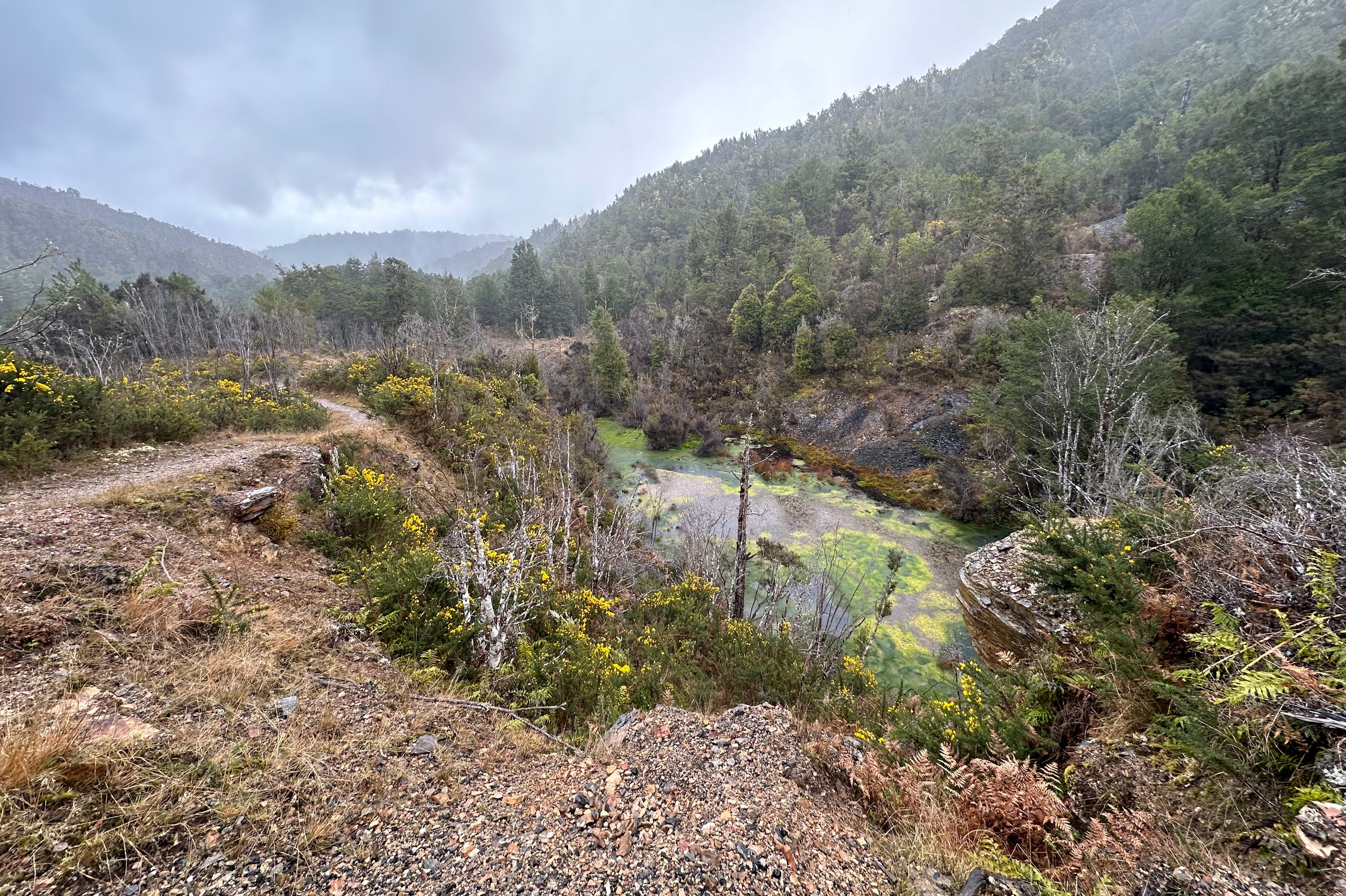 Murray Creek Goldfield pályák - Image 2