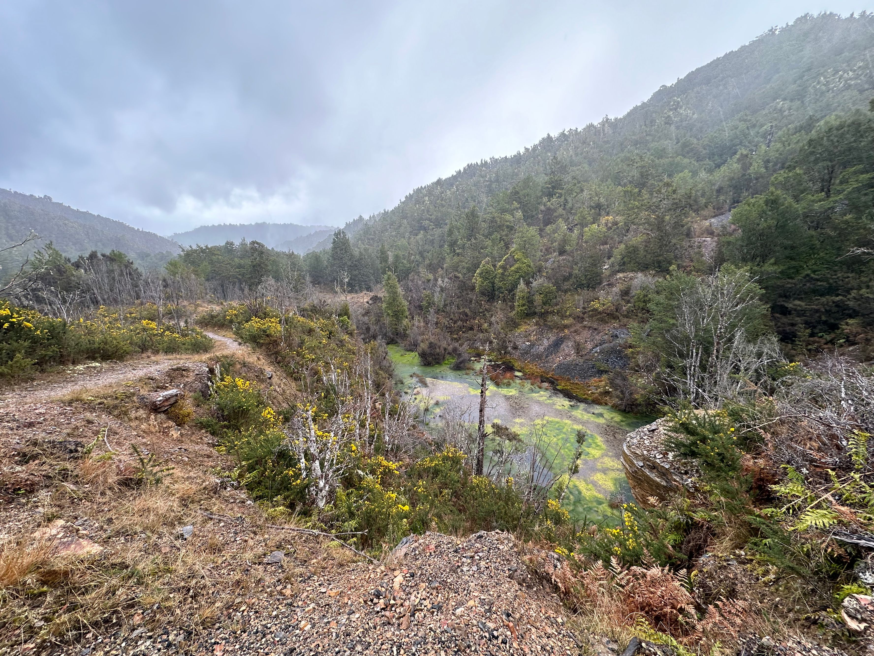 Murray Creek Goldfield ट्रैक - Image 2