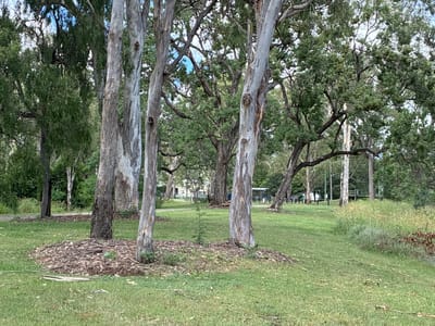 Swinging Bridge Rest Area