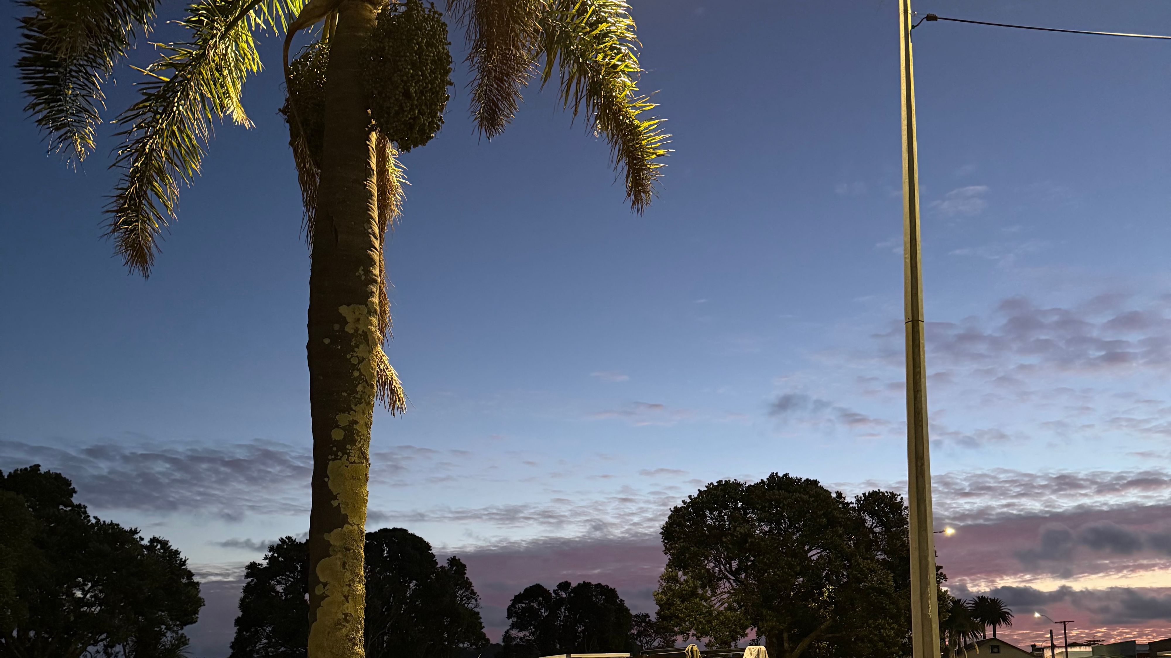 达尔加维尔卡帕克