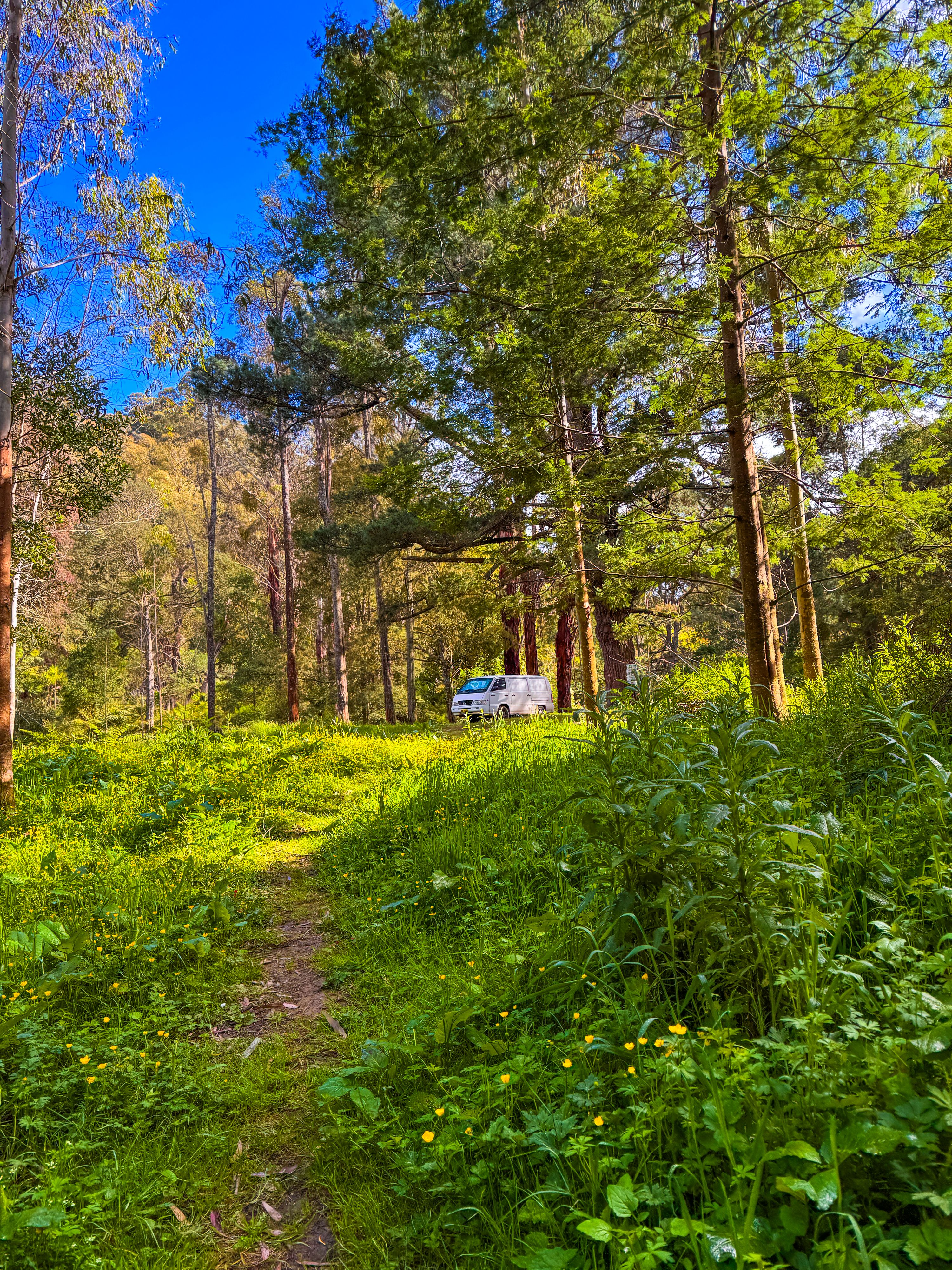 Dingo Creek Reserve - Image 2