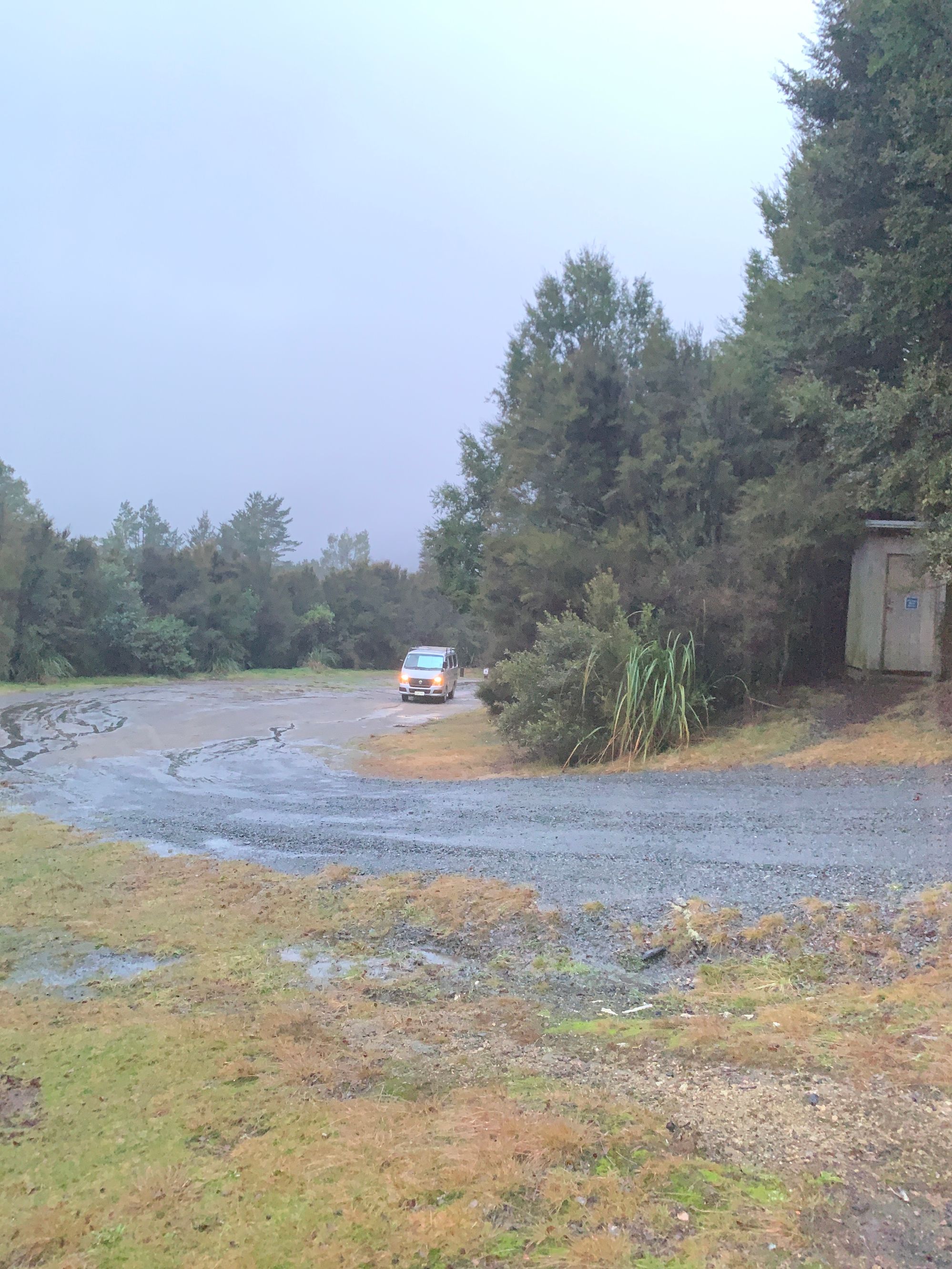 Kaimanawa Road Campsite - Image 2