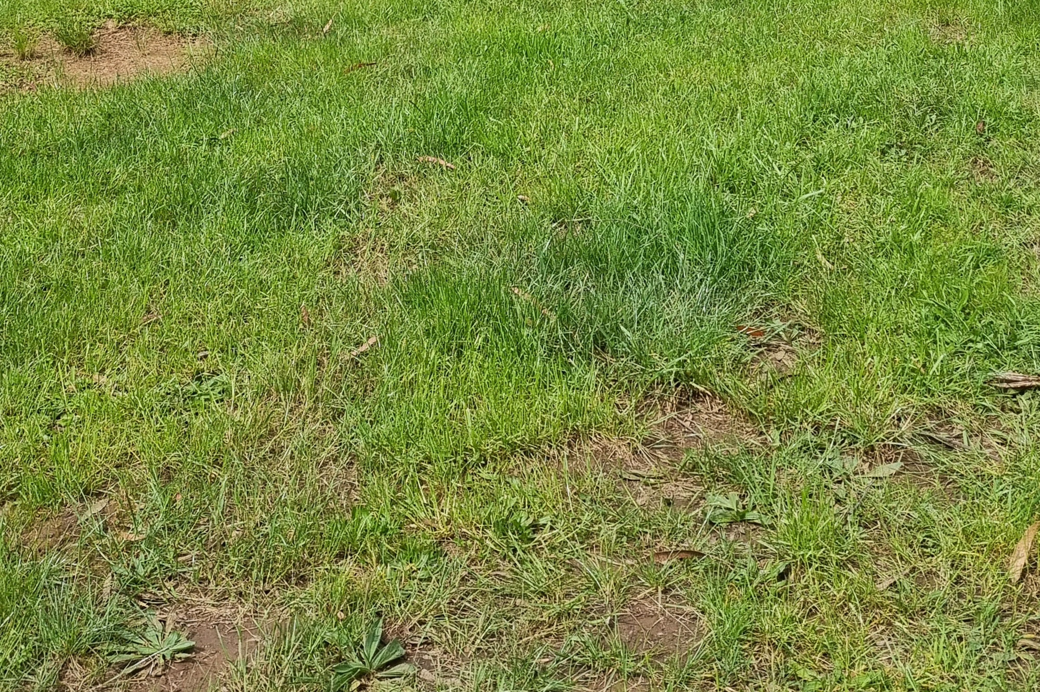 אזור קמפינג Flat Camping