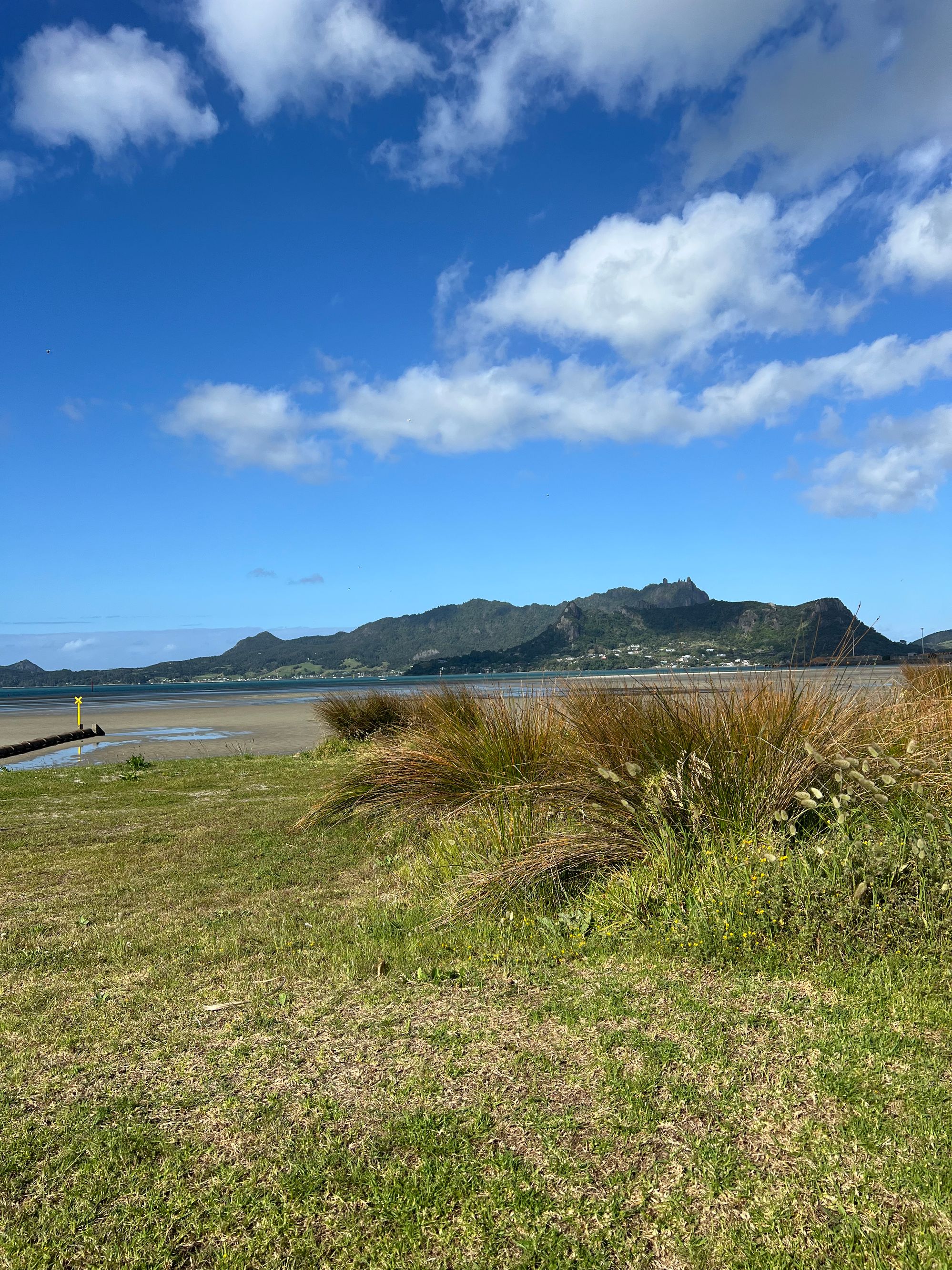 Marsden Bay Reserve  - Image 2